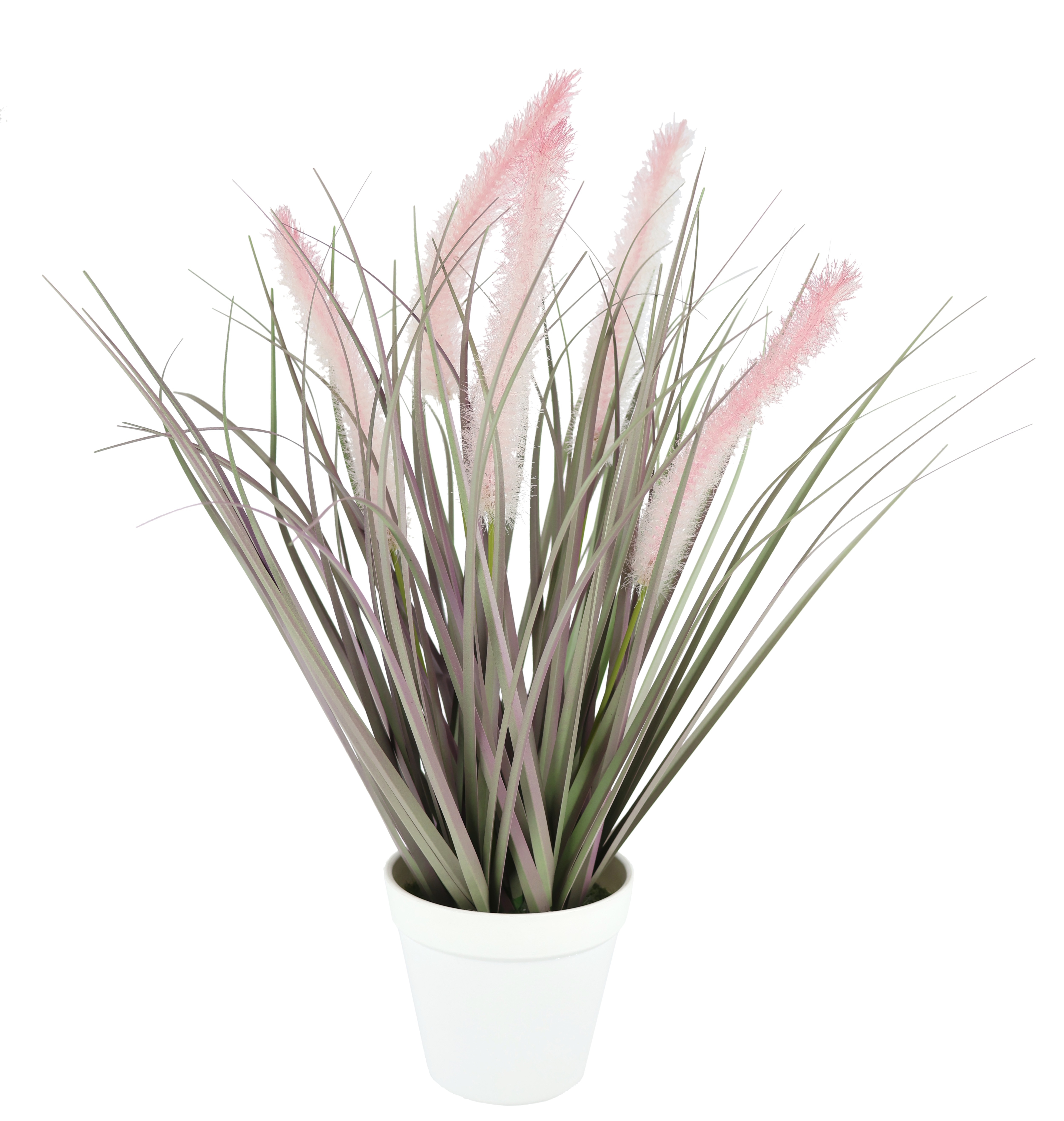 I.GE.A. Kunstpflanze "Pampasgras im Topf, rosa, 44 cm hoch" Dekogras Dekorativer Grasbusch Fuchsschwanzgras