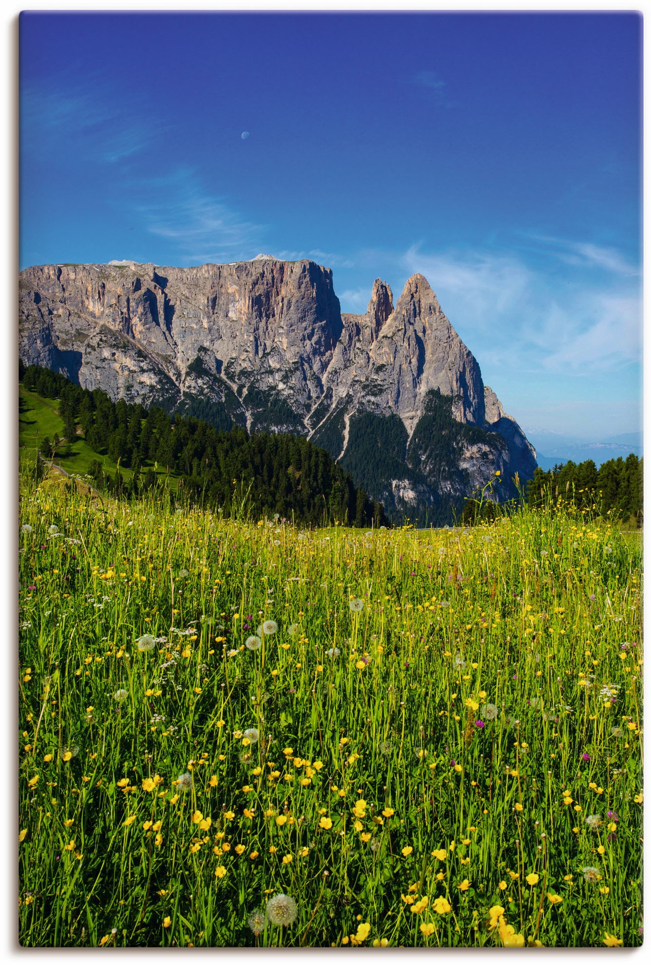 Wandbild Südtirol«, | St.), & als »Blumenwiese versch. kaufen Seiser Alubild, oder Berge (1 auf der Poster BAUR Größen Leinwandbild, Artland Wandaufkleber Alm in Alpenbilder,