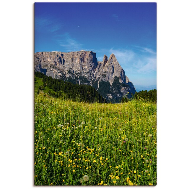Artland Wandbild »Blumenwiese auf der Seiser Alm Südtirol«, Berge &  Alpenbilder, (1 St.), als Alubild, Leinwandbild, Wandaufkleber oder Poster  in versch. Größen kaufen | BAUR