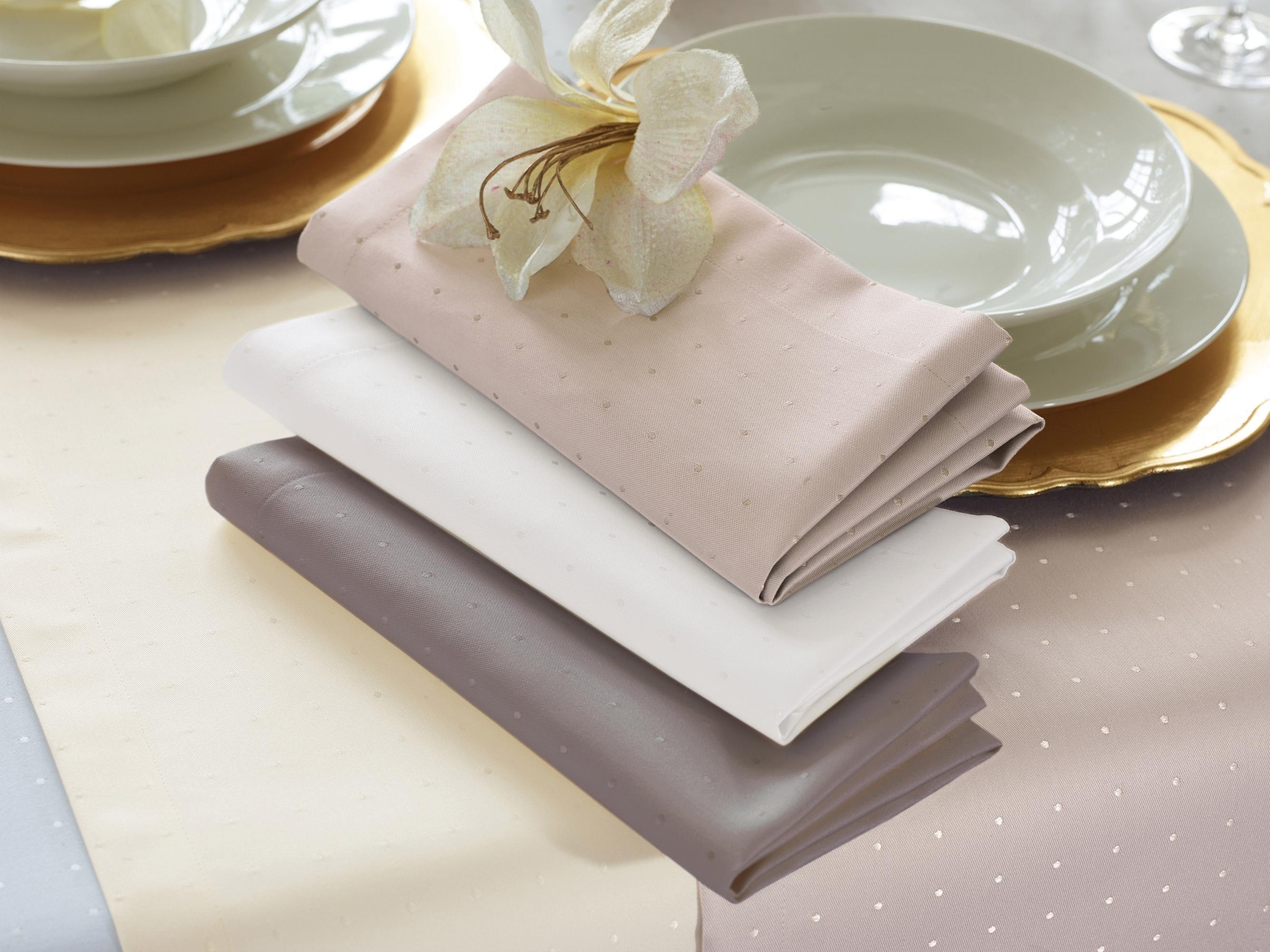 Curt Bauer Stoffserviette »Damast, 3815 Petito«, (Set, 2 St.)
