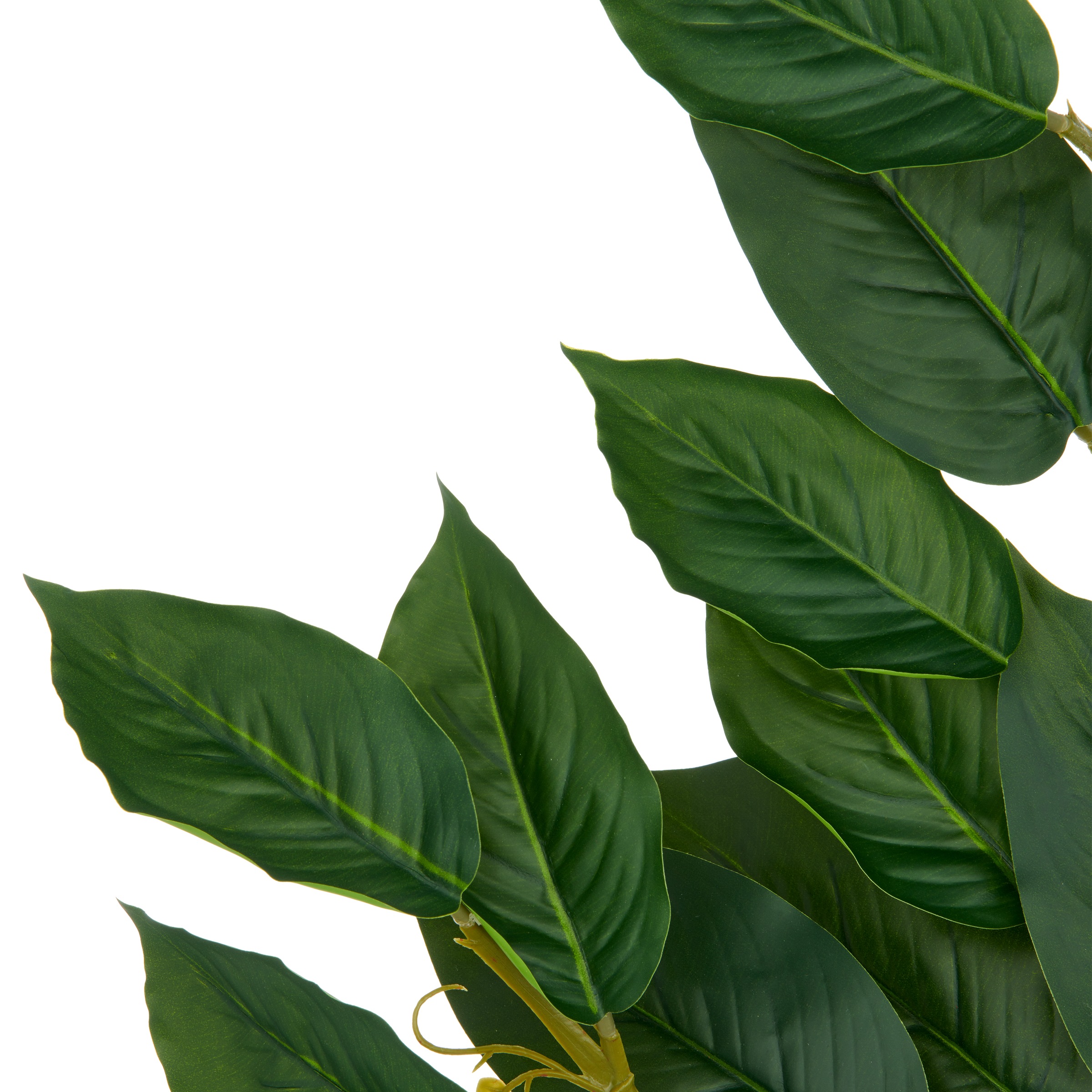 Creativ green Kunstzweig »Ficuszweig«, mit naturgetreuem Blattwerk