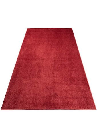 Carpet City Kiliminis takelis »Softshine 2236« rec...