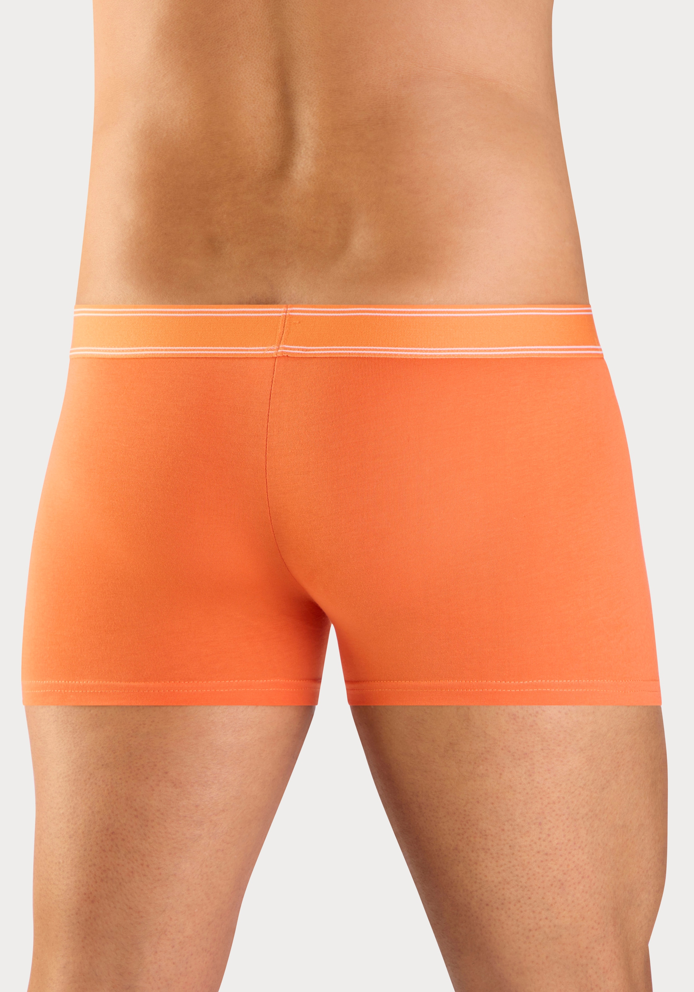 Bruno Banani Boxer »Boxershorts für Herren« Packung, 5 Stk. mit schmalen Streifen und Logoschriftzug im Bund