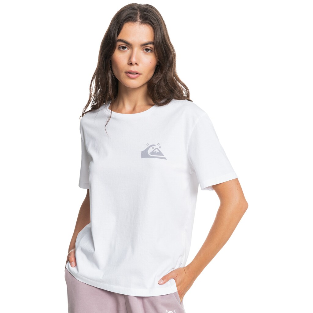 Quiksilver T-Shirt »Standard«