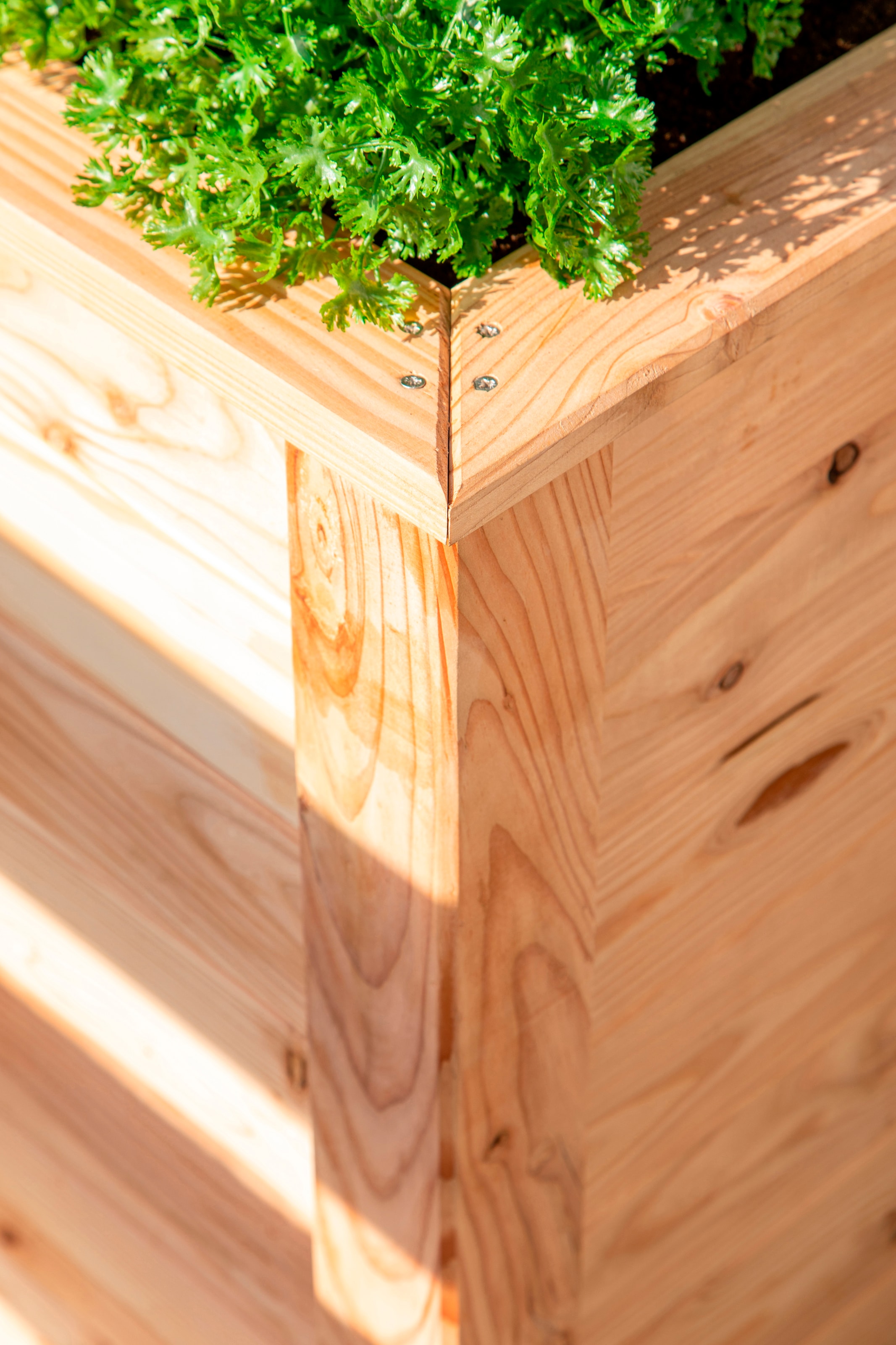 WESTMANN Hochbeet »WMHL100« 330 l, BxTxH: 65x65x66 cm