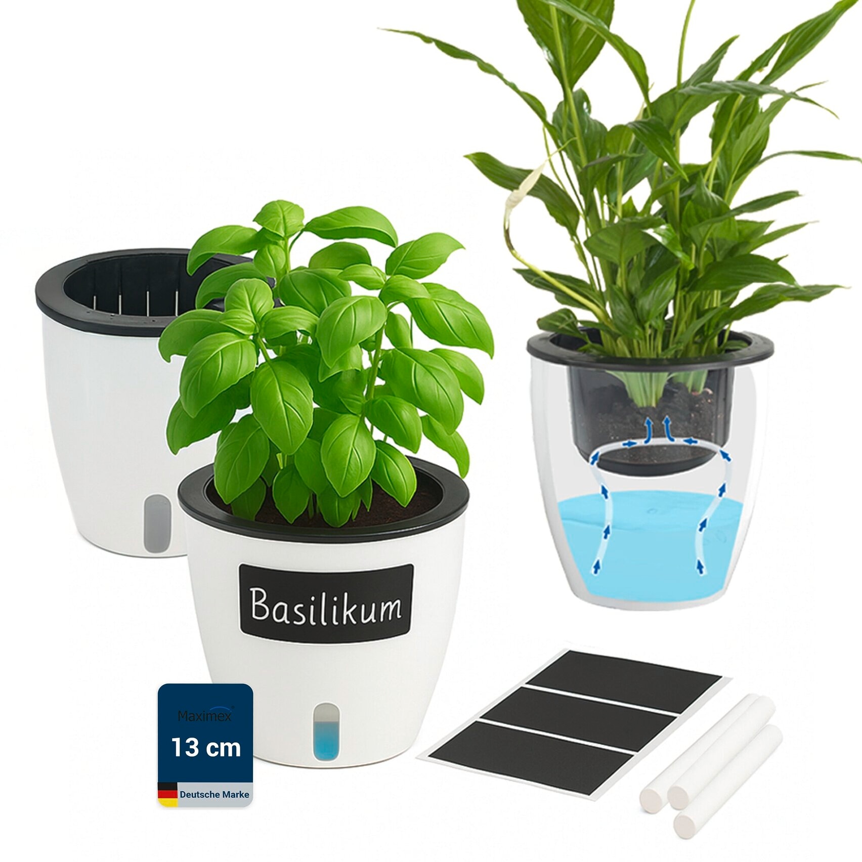 Maximex Pflanzschale »Selbstbewässernde Pflanztöpfe« 13x13,5 cm, mit Wasserstandsanzeige