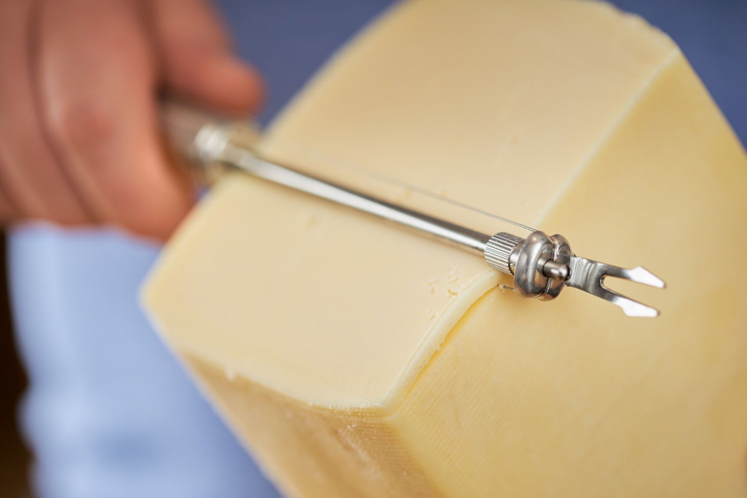 RÖSLE Käsemesser Drahtschneider für Schnittkäse, Edelstahl 18/10 günstig online kaufen