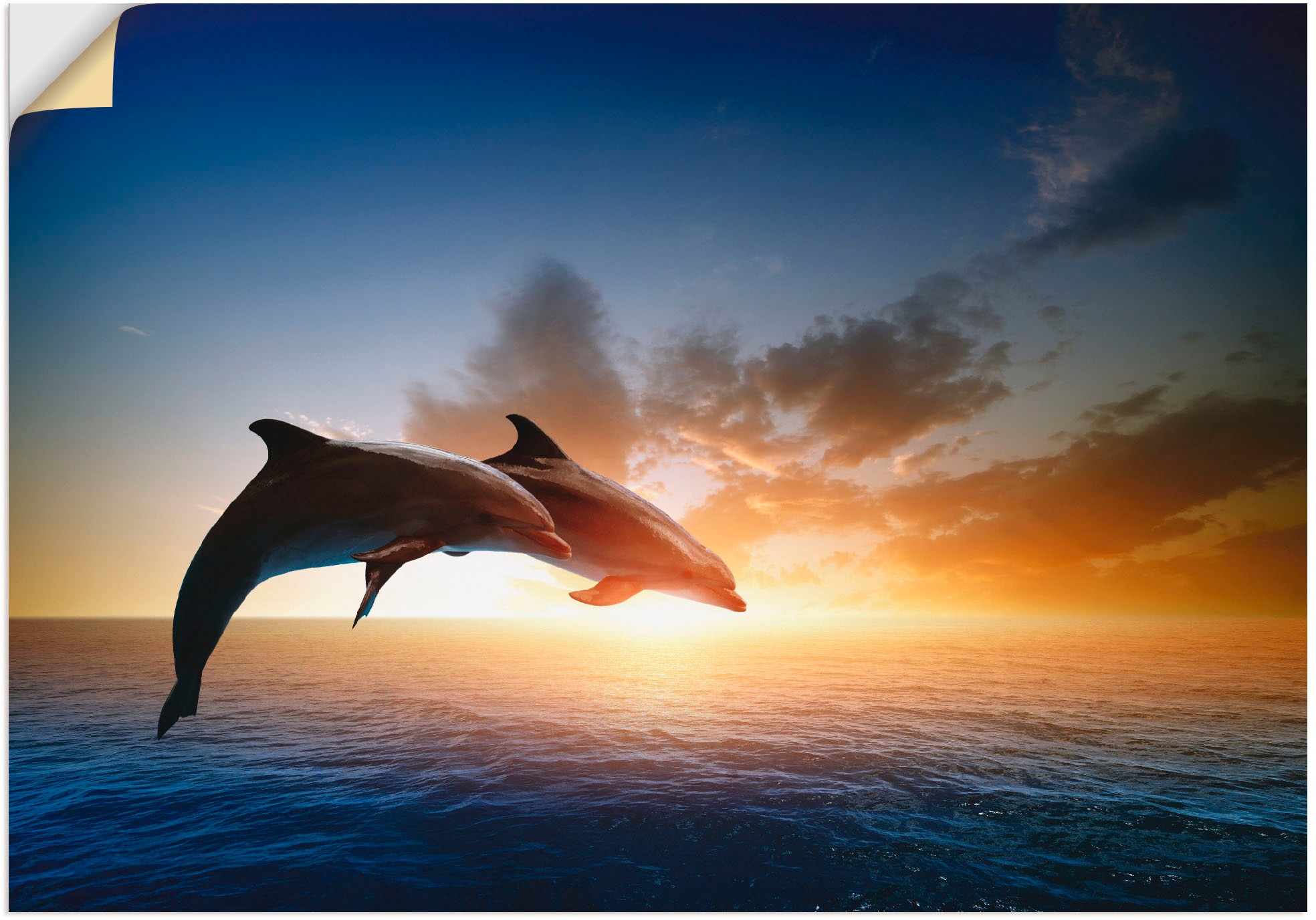Artland Wandbild »Delfinpaar«, Wassertiere, (1 St.), als Leinwandbild, Poster, Wandaufkleber in verschied. Größen