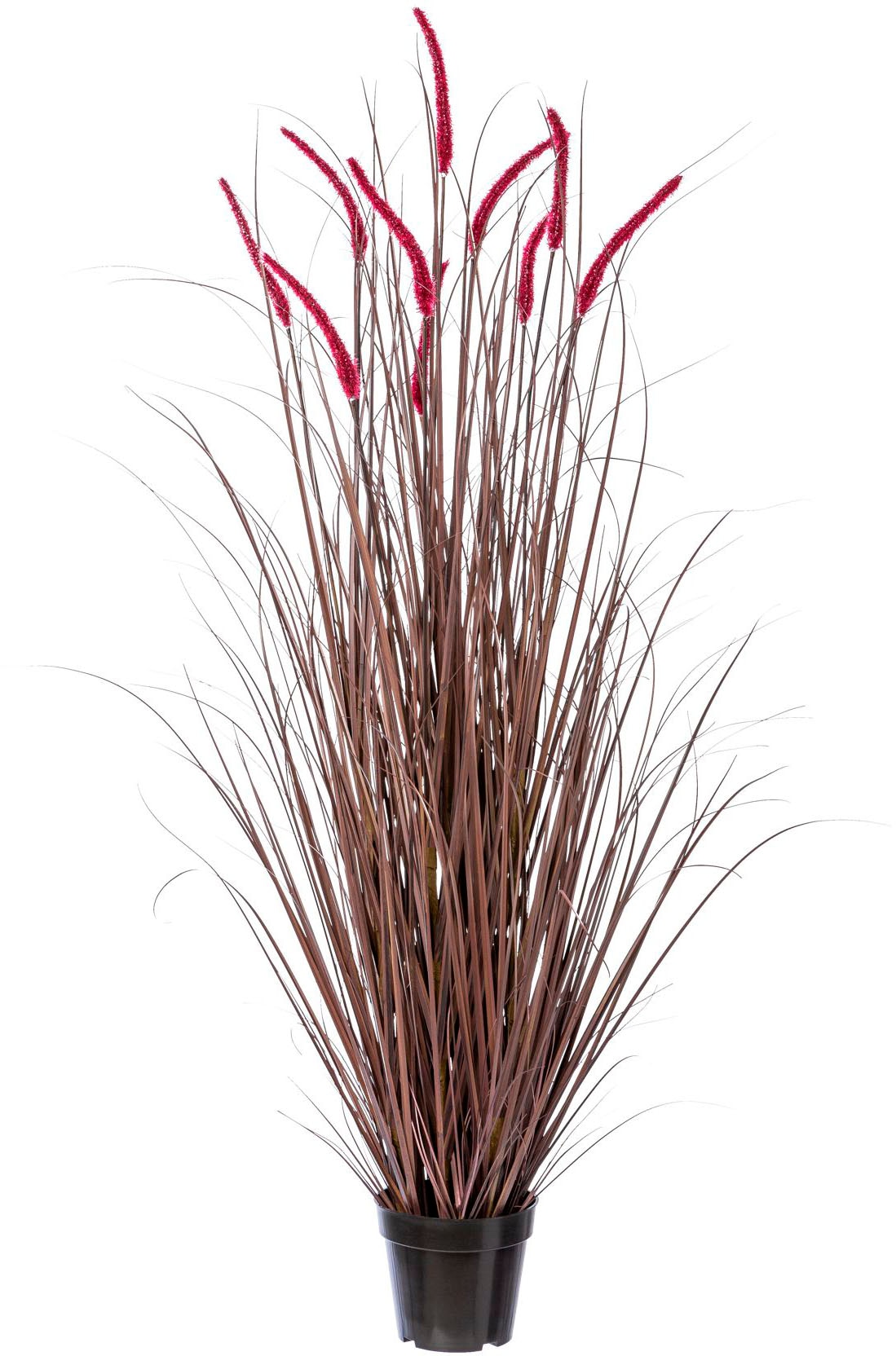 Creativ green Kunstgras »Grasbusch Pennisetum rubrum«