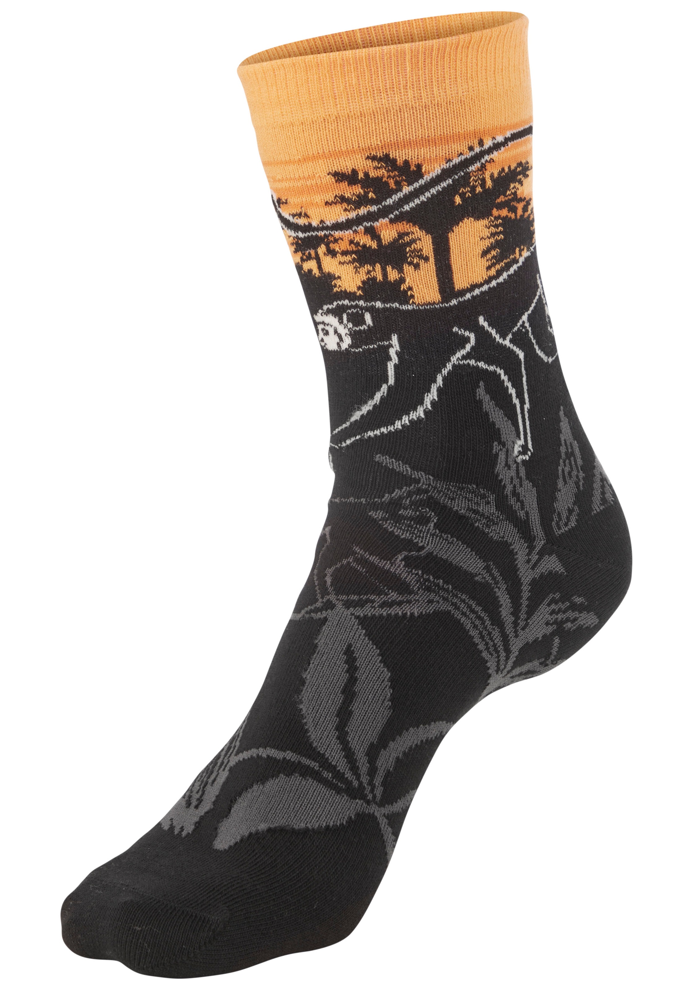 H.I.S Basicsocken Packung, 5 Paar tlg. mit aufwendigen Designs