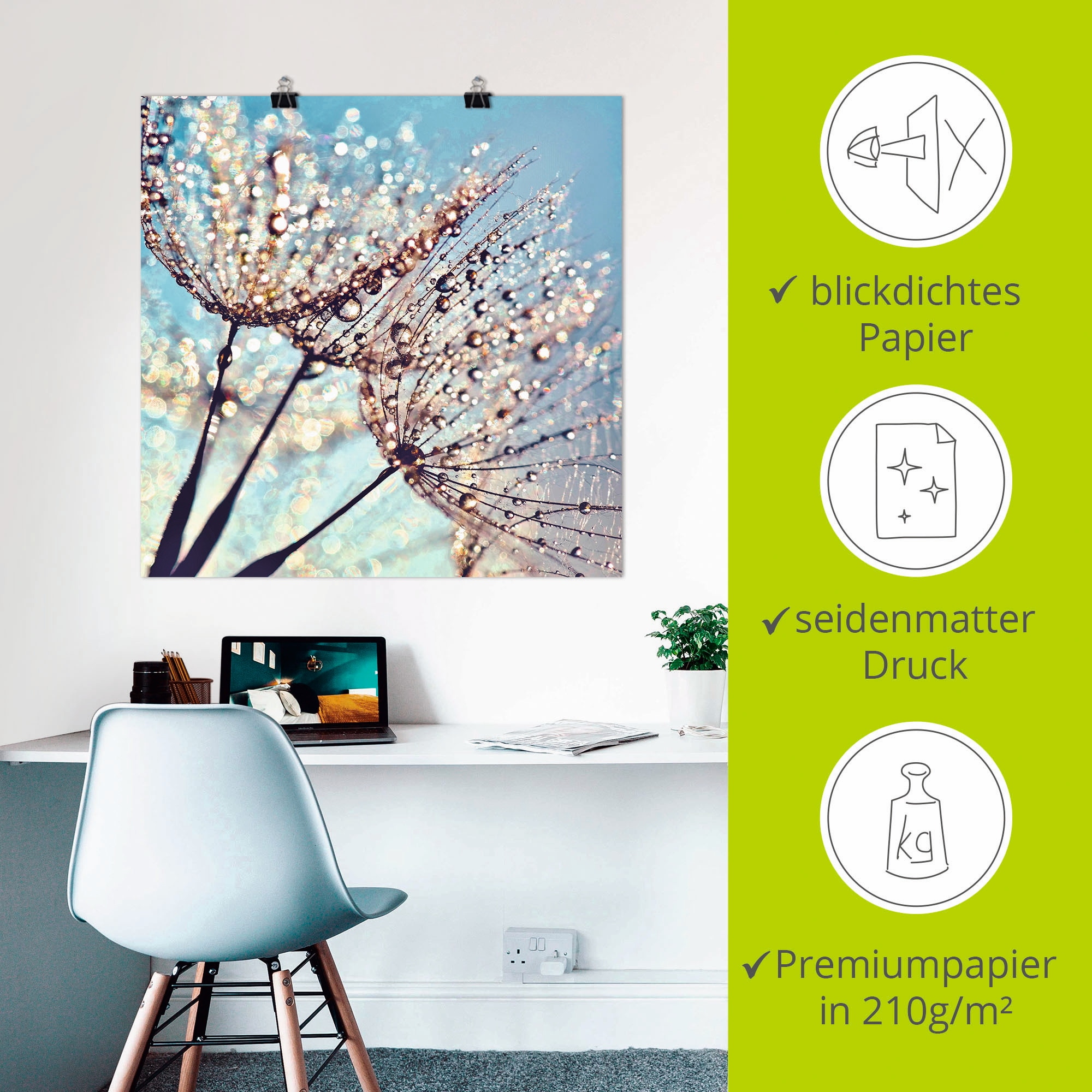 Artland Poster »Pusteblume Tröpfchenfänger« Blumen 1 Stk. tlg. als Alubild, Outdoorbild, Leinwandbild, Poster in verschied. Größen