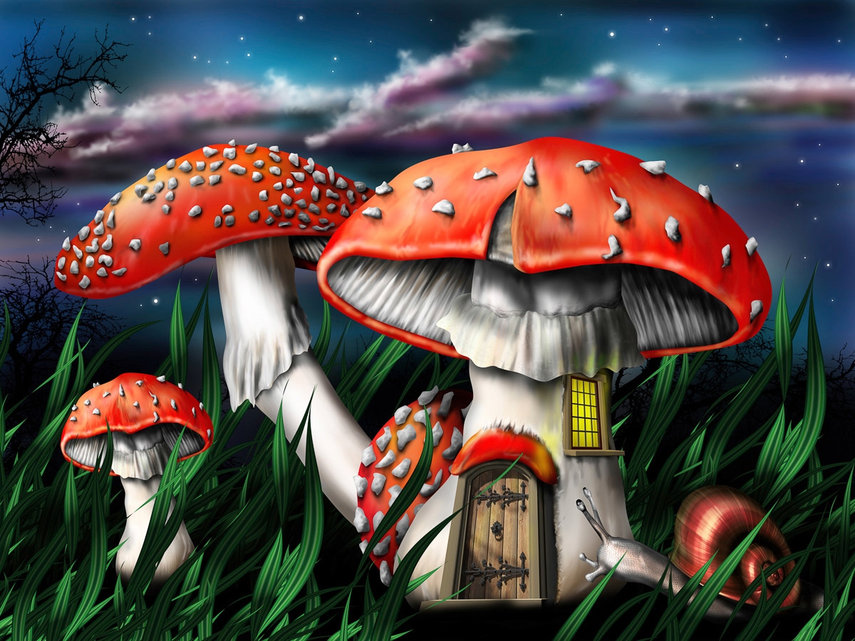 Papermoon "Zauberpilze"