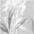 grau