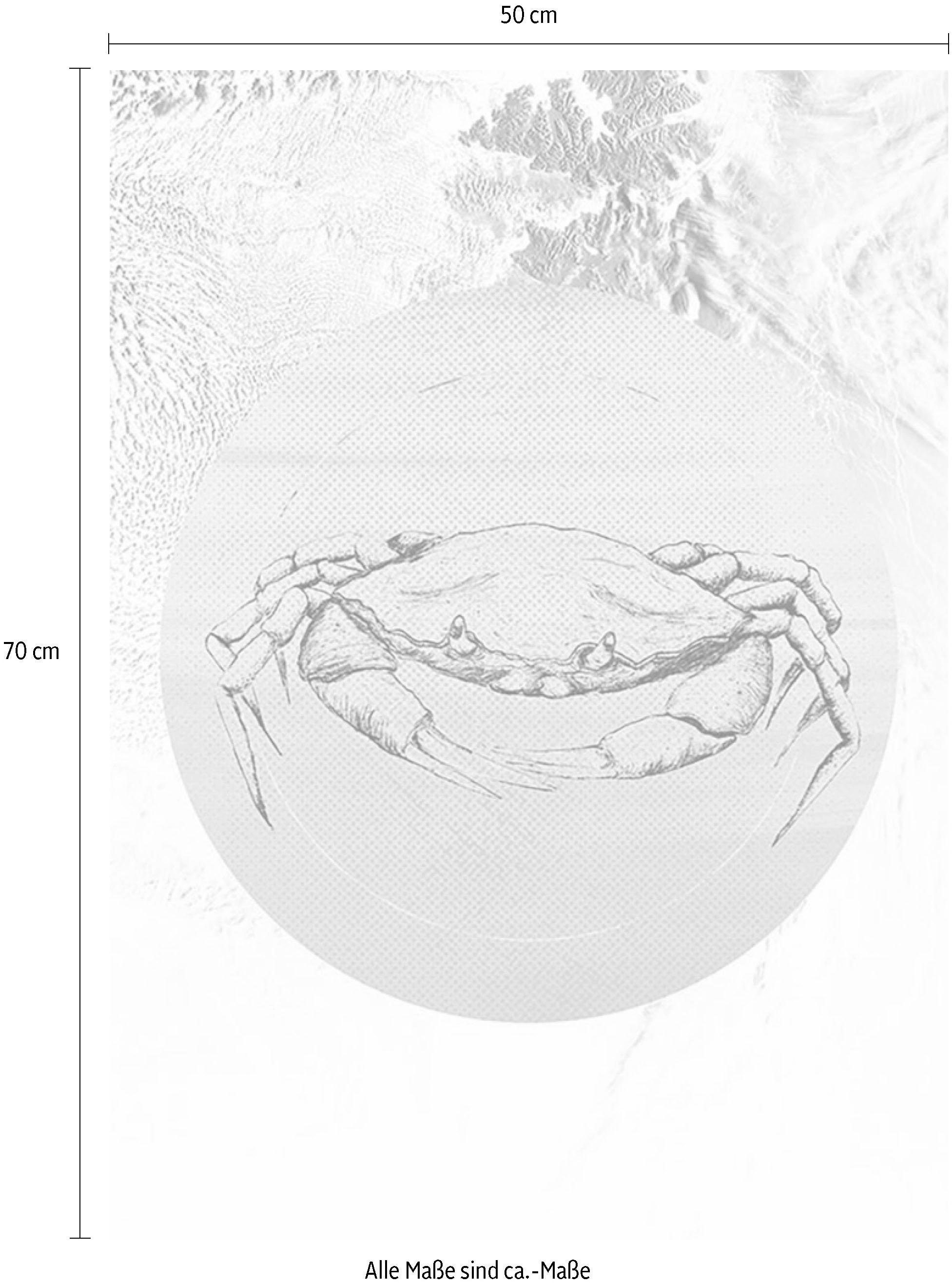 Sea«, »Crab Wohnzimmer St.), Tiere, Schlafzimmer, (1 | Komar BAUR Kinderzimmer, Poster