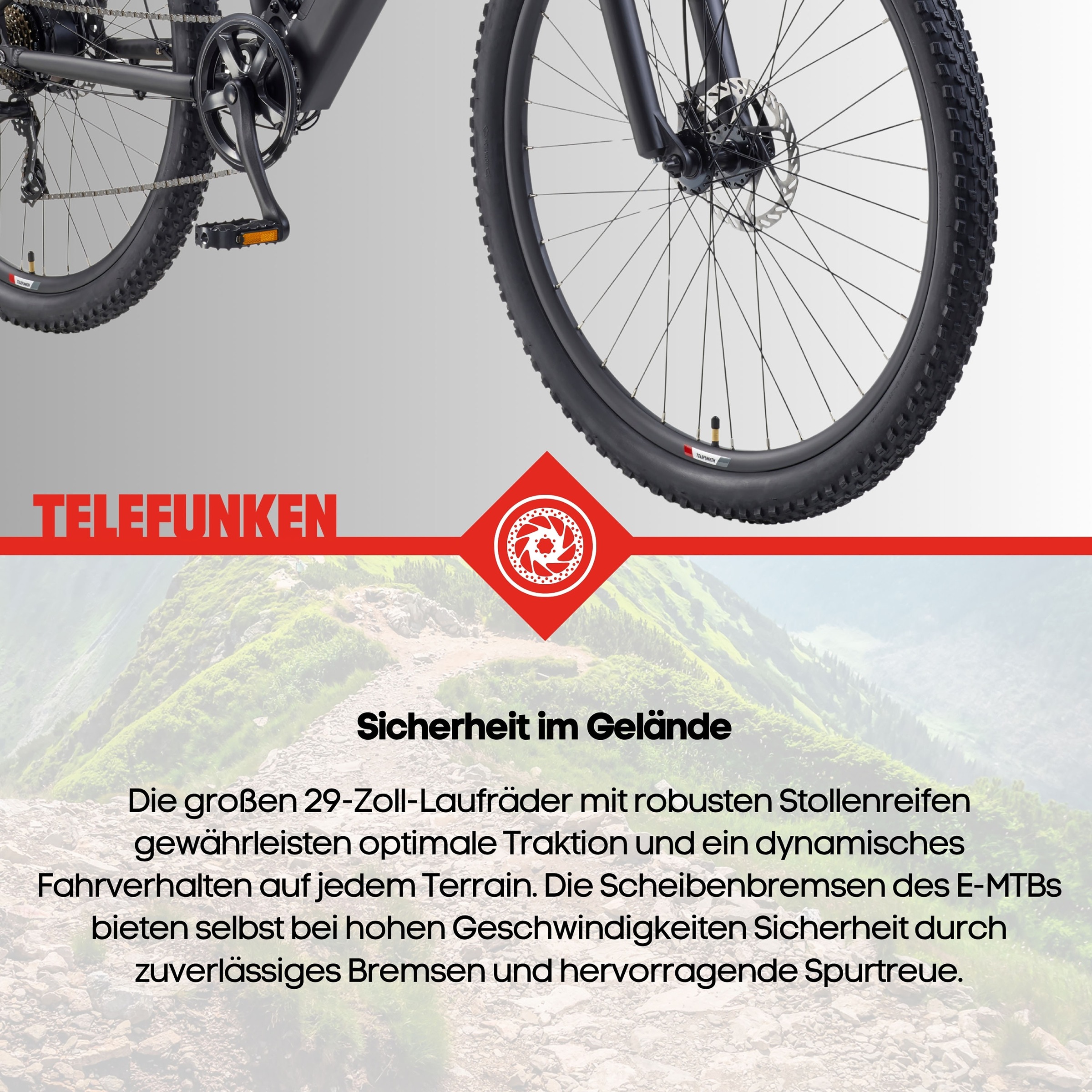 Telefunken »Aufsteiger M937« 7 Gang Shimano TY300D Schaltwerk Kettenschaltung Heckmotor 250 W Pedelec, Elektrofahrrad, Damen u. Herren, E-MTB, Mountainbike, 29 Zoll