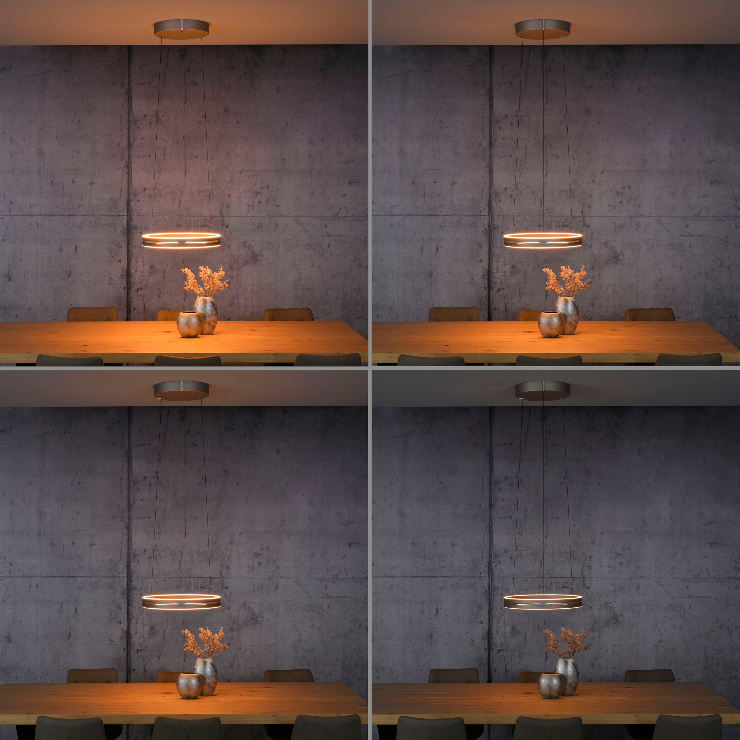 Neuhaus PURE LED Pendelleuchte »PURE E-Loop« LED-Board 1 Stk. warmweiß - kaltweiß e-LIFT® Funktion, CCT, dimmbar über Fernbedienung