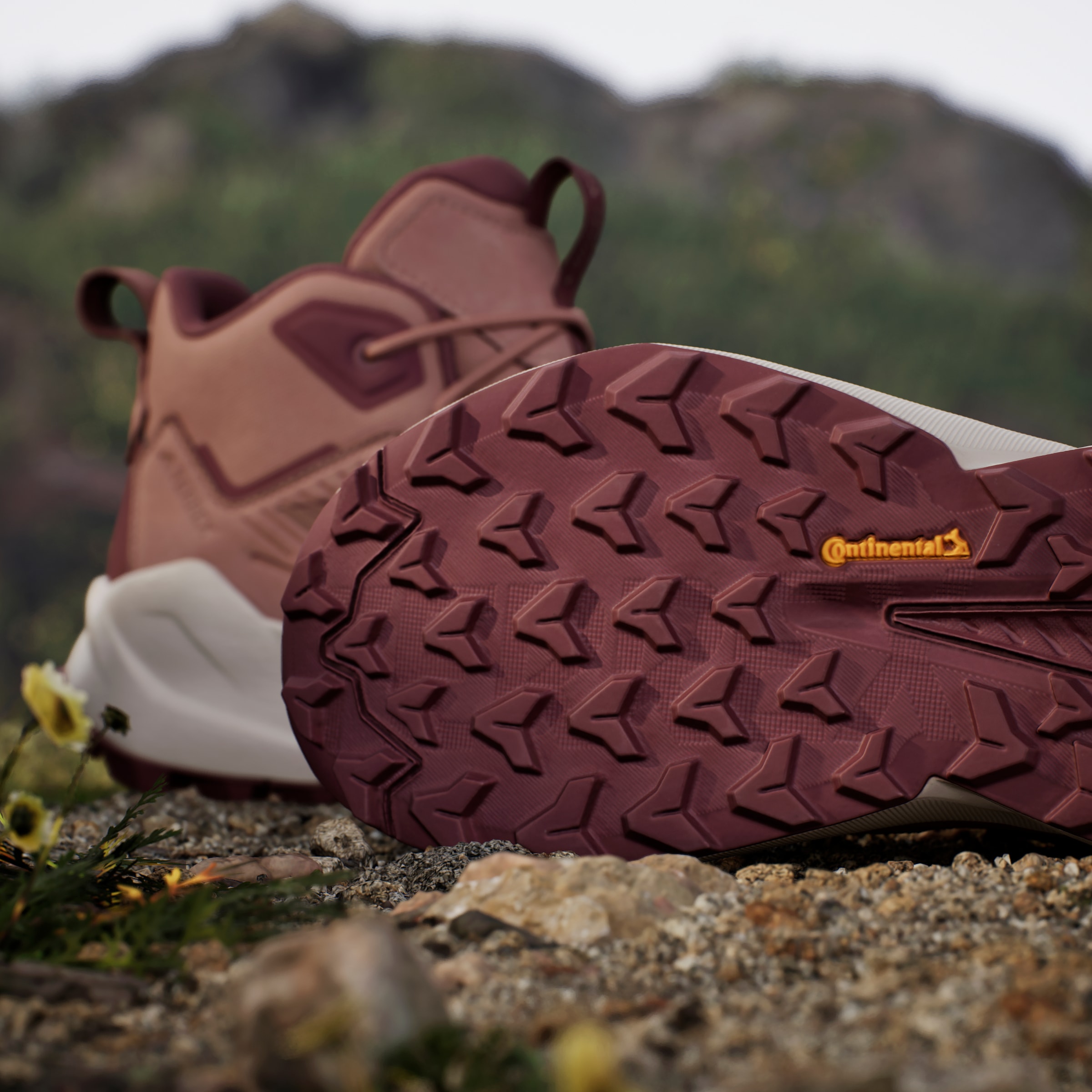 adidas TERREX Wanderschuh »TERREX TRAILMAKER 2.0 LEATHER«, aus Leder