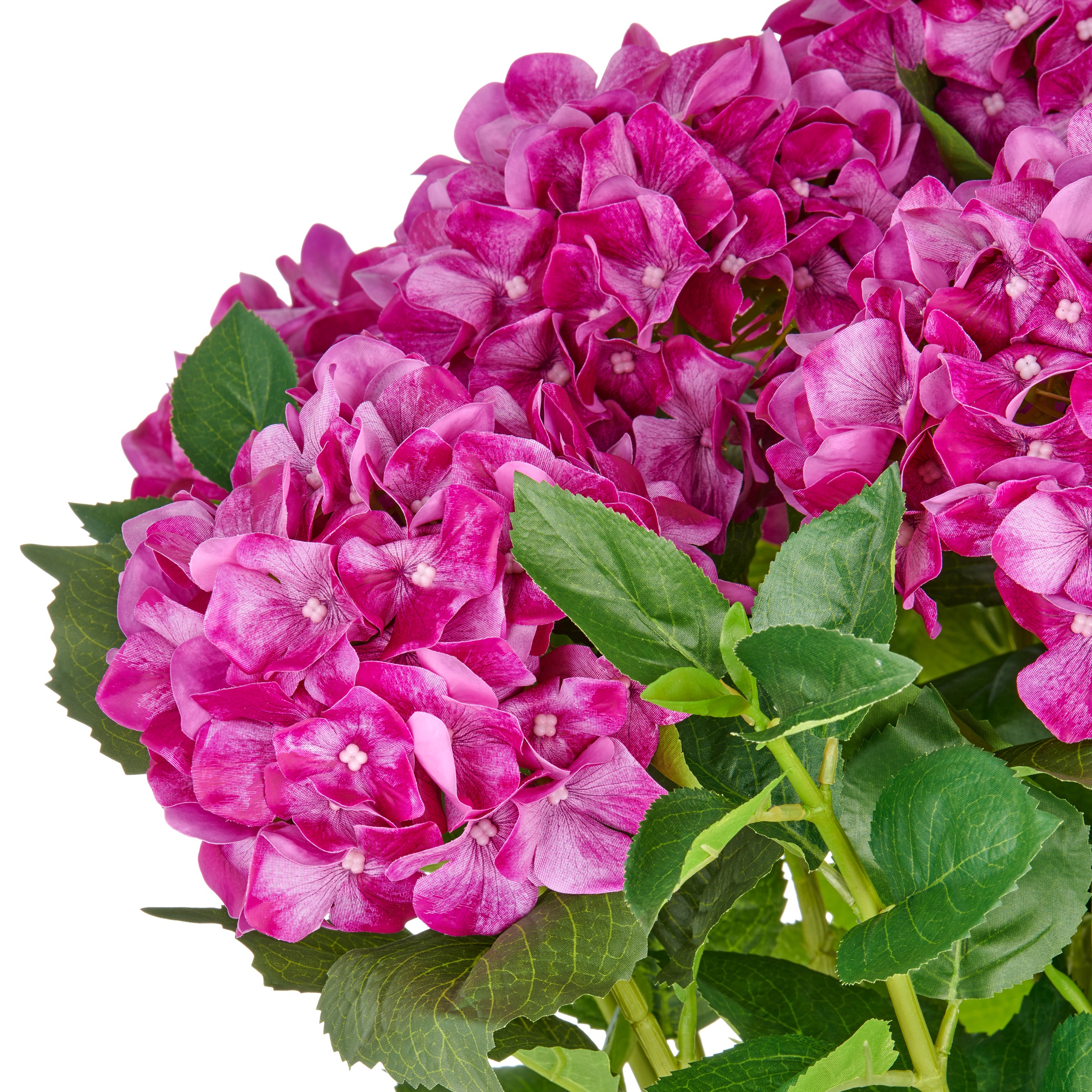Creativ green Kunstpflanze "Hortensie", im eleganten Topf günstig online kaufen