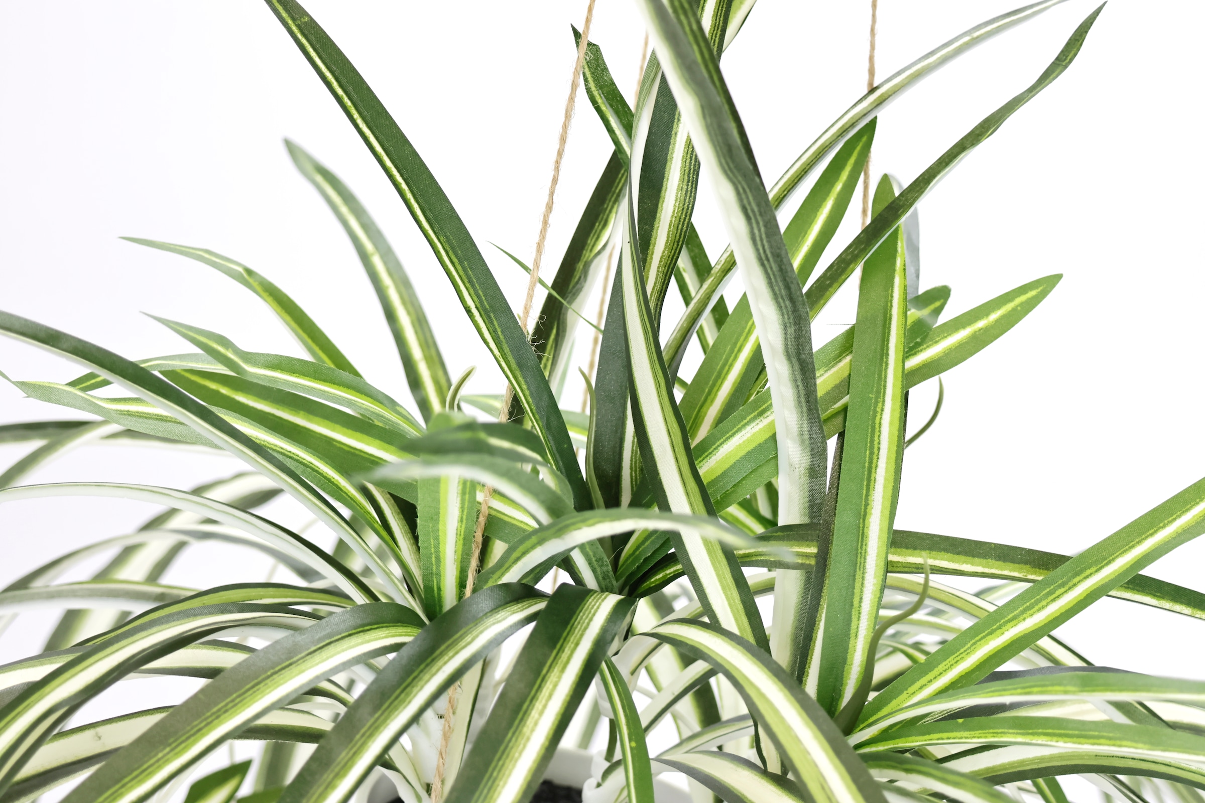 I.GE.A. Kunstpflanze »Wasserlilie hängend« Mit Hängeampel Grünlilie Grünpflanze Chlorophytum Kunstblume Dekoblume