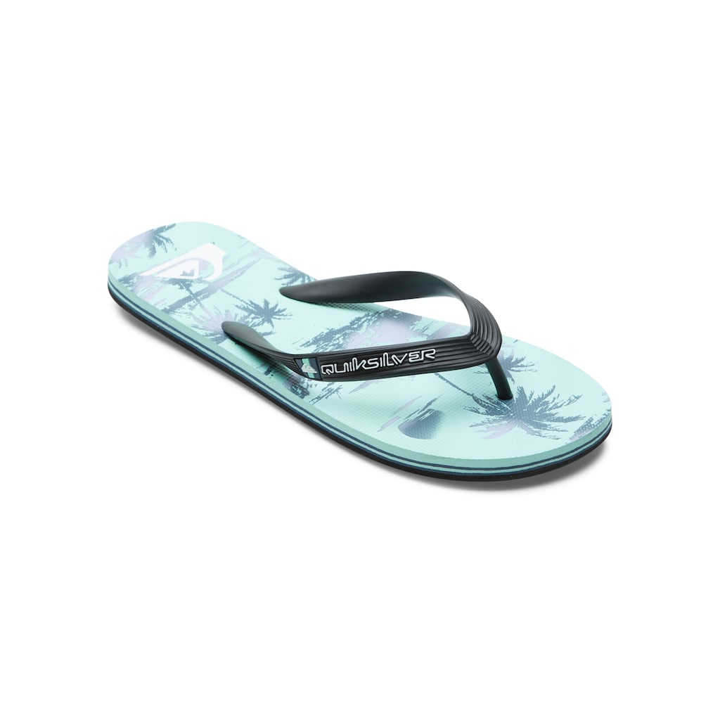 Quiksilver Sandale »Molokai Air Flow«