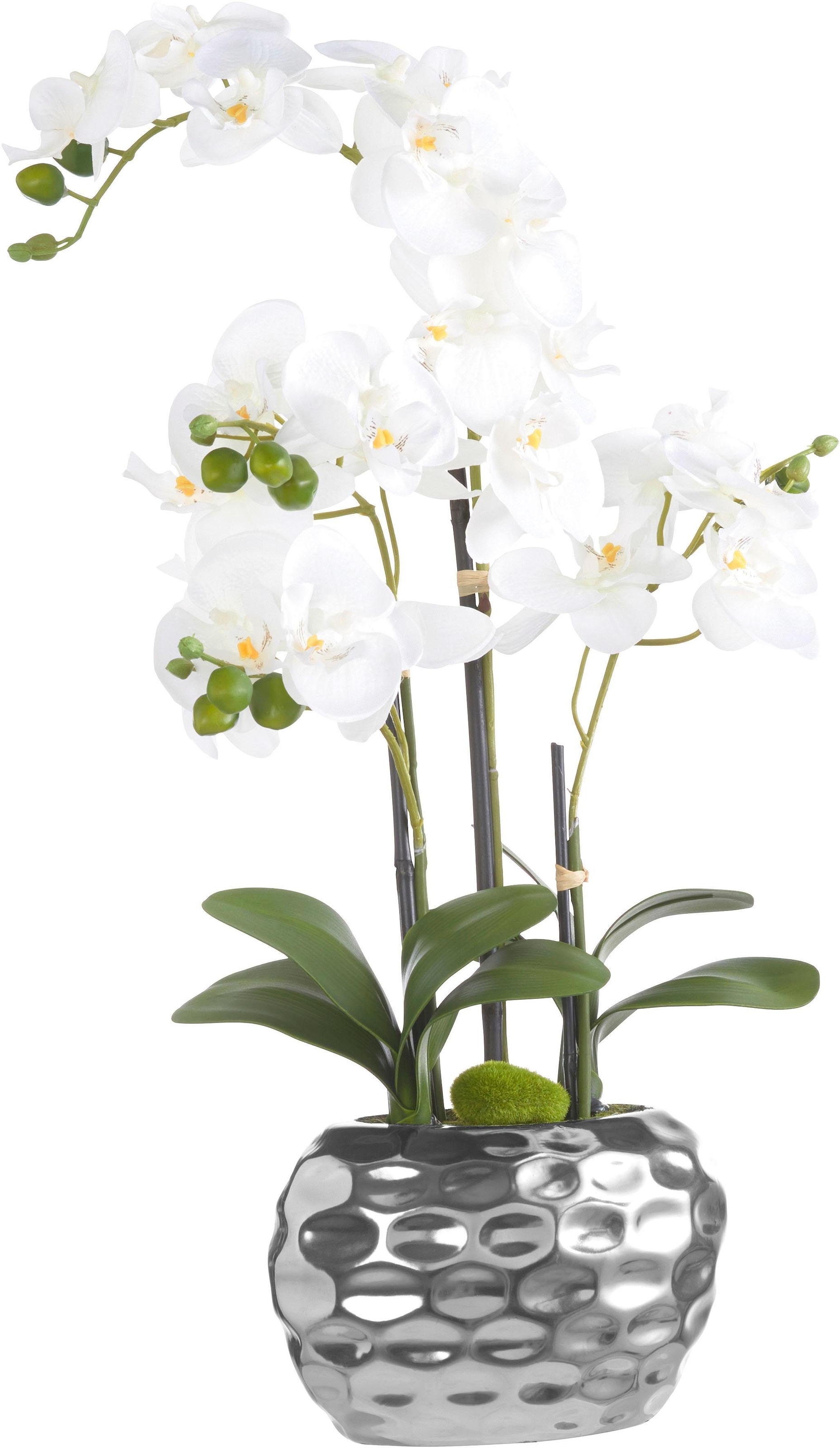 Creativ green Kunstpflanze »Orchidee« kaufen | BAUR