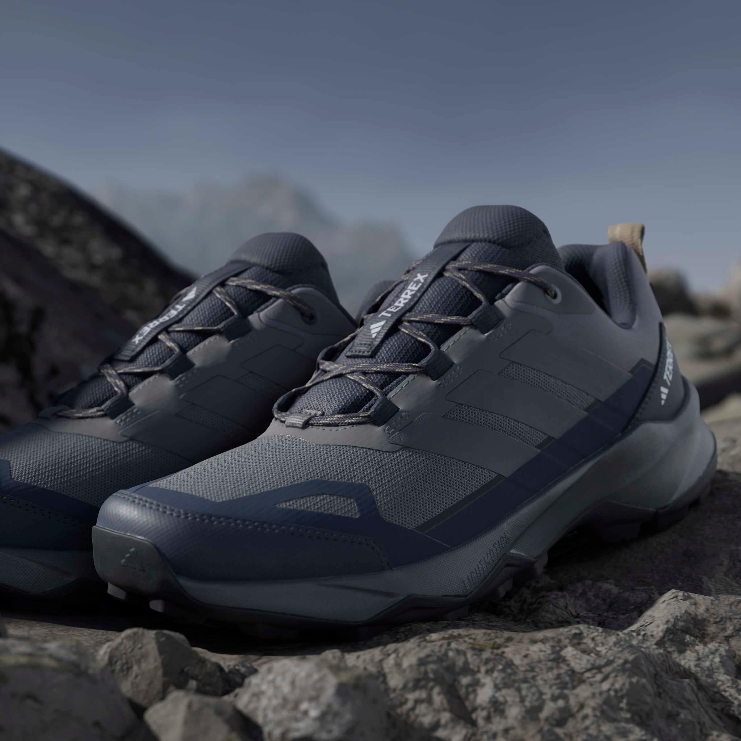 adidas TERREX Wanderschuh »TERREX SKYCHASER AX5«