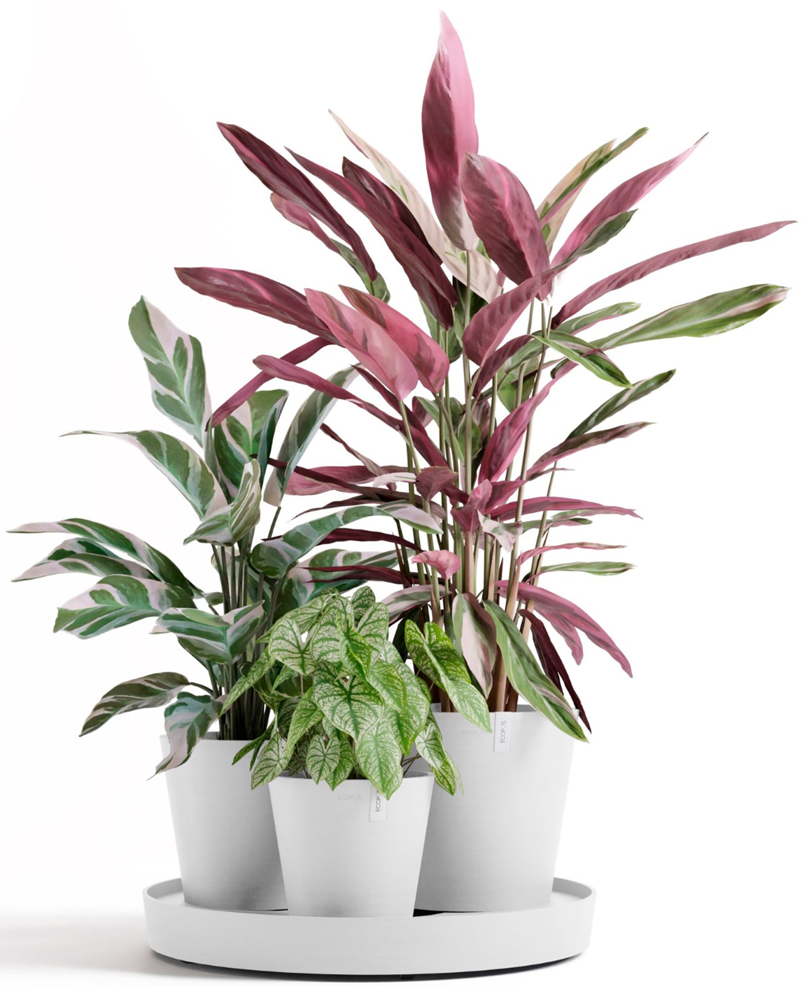 ECOPOTS Blumentopf »Dubai Weiß«, für innen und außen: frostsicher, bruchsicher und lichtbeständig