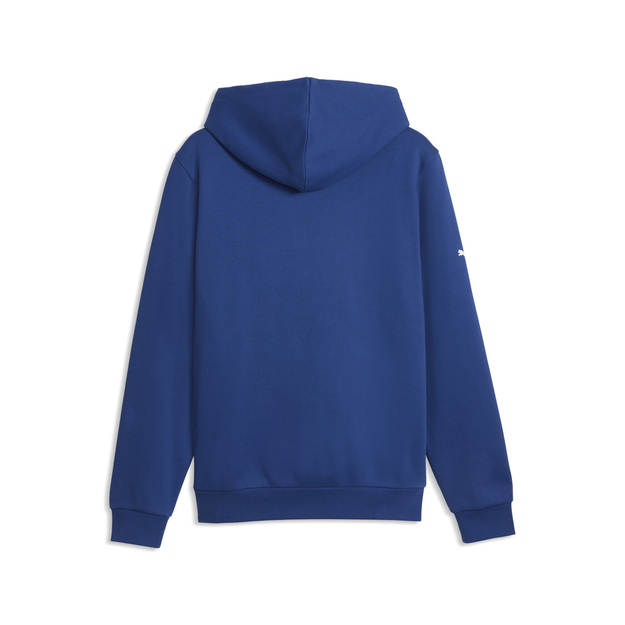 PUMA Hoodie »BMW M MOTORSPORT Essentials Hoodie Herren«
