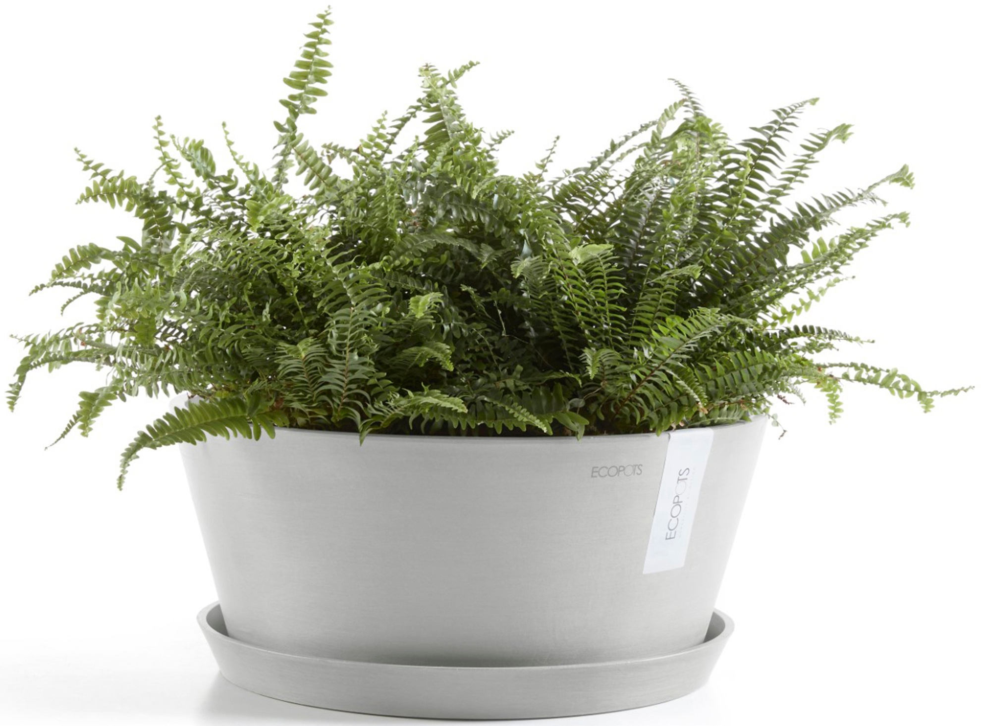 ECOPOTS Blumentopf »Frankfurt 50 Weißgrau«, für innen und außen: frostsicher, bruchsicher und lichtbeständig