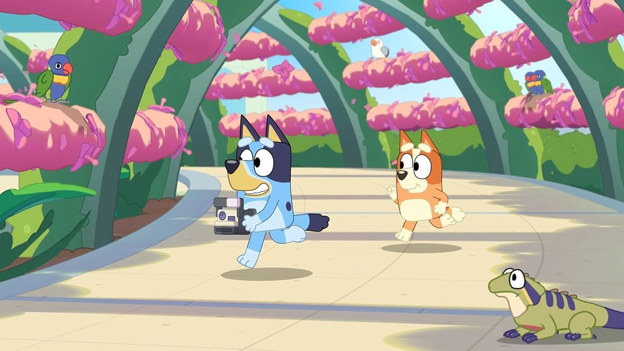 BANDAI NAMCO Spielesoftware »Bluey's Happy Snaps: Deluxe Edition« Nintendo Switch 2