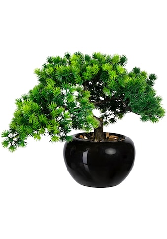 Kunstbonsai »Bonsai Lärche«