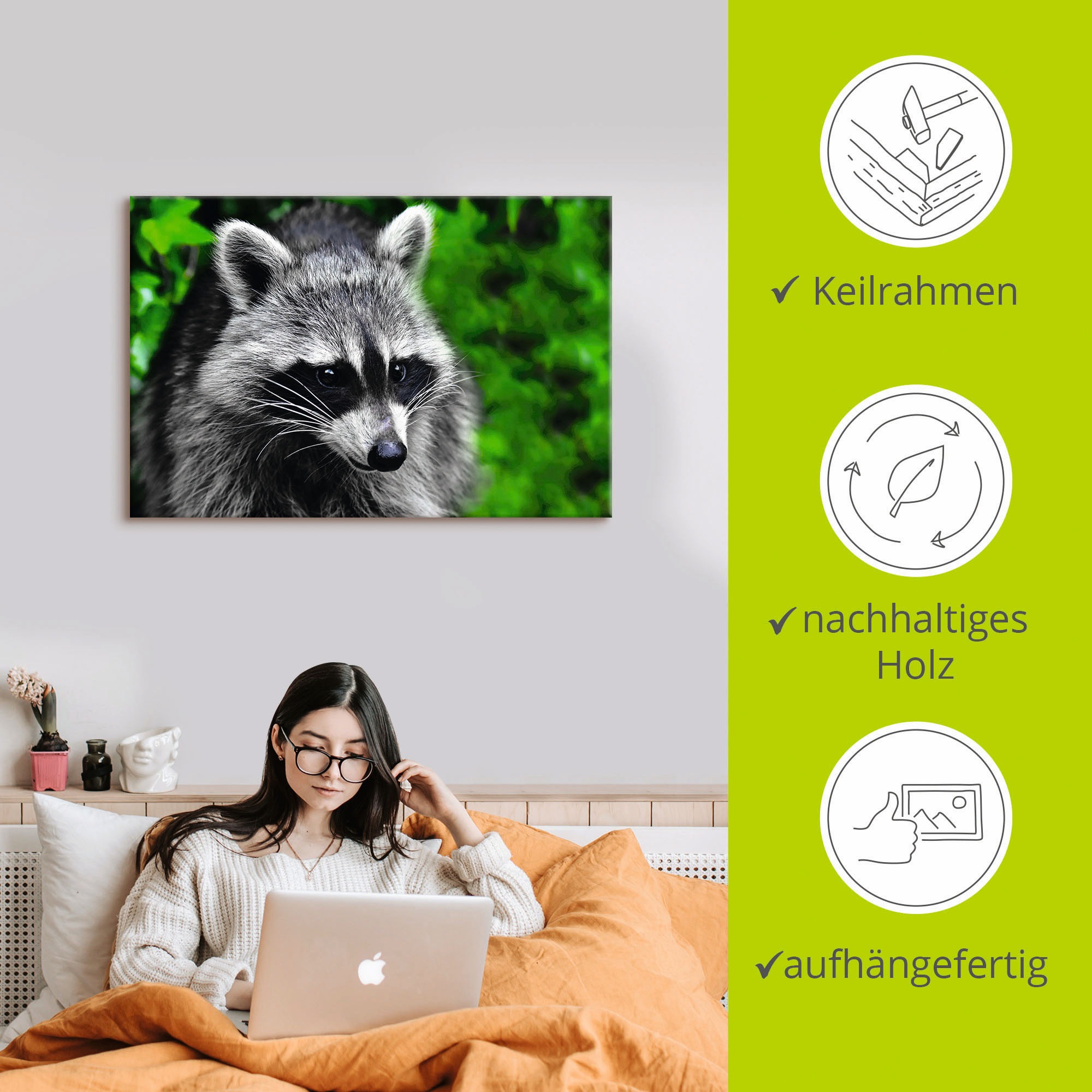 Artland Alu-Dibond-Druck »Waschbär«, Wald, (1 St.), für Innen- und Außenbereich geeignet, Outdoorbild