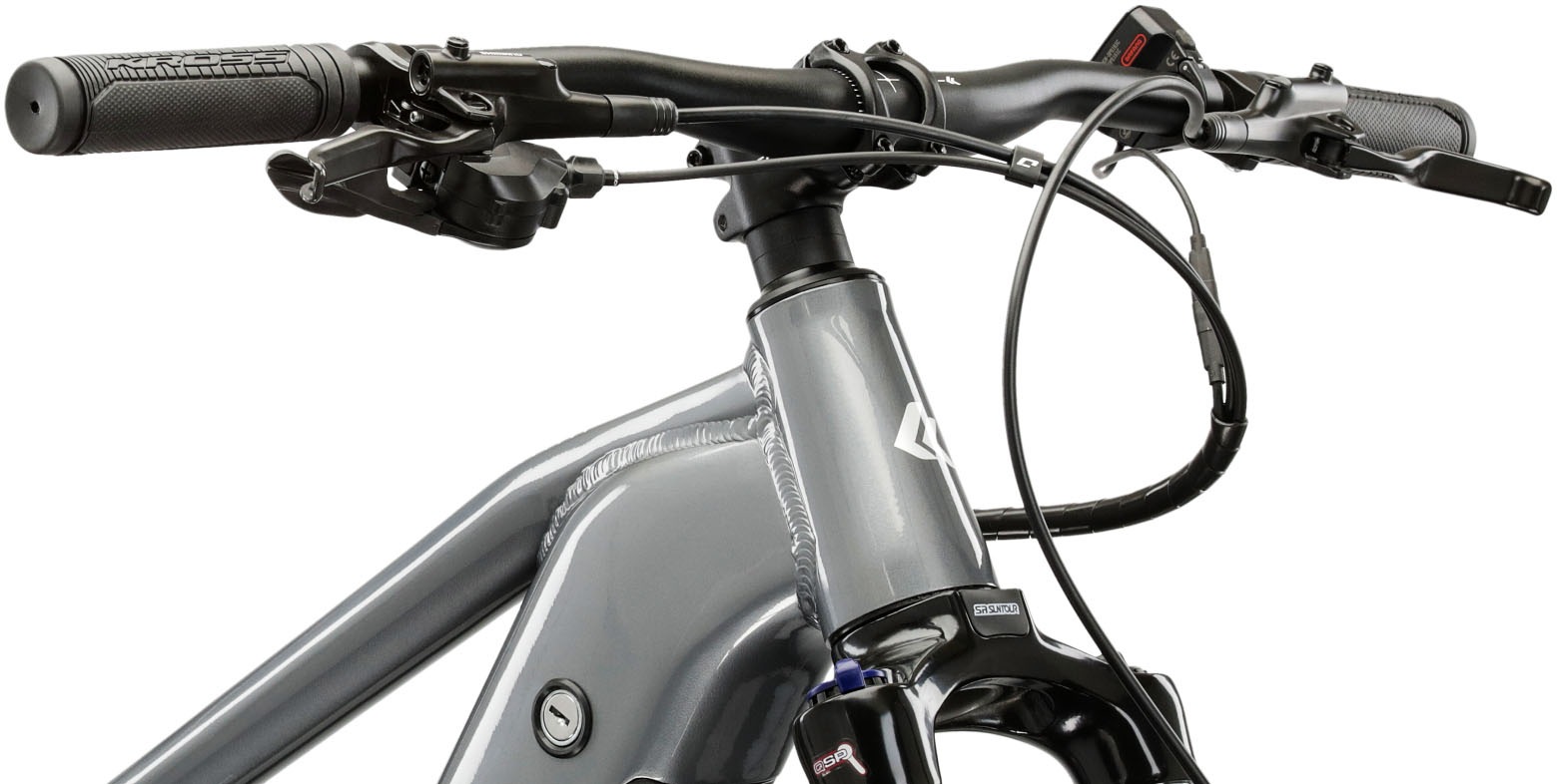 Kross E-Bike »KROSS E-MTB Hexagon Boost 1.0 522 29 Zoll grau«, 8 Gang, Shimano, ESSA U2000, Heckmotor 250 W