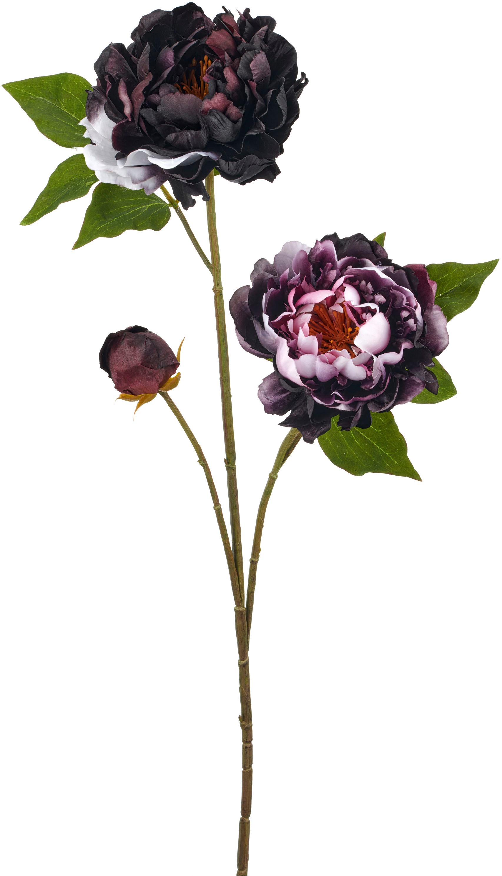 Creativ green Kunstblume "Peonie" günstig online kaufen