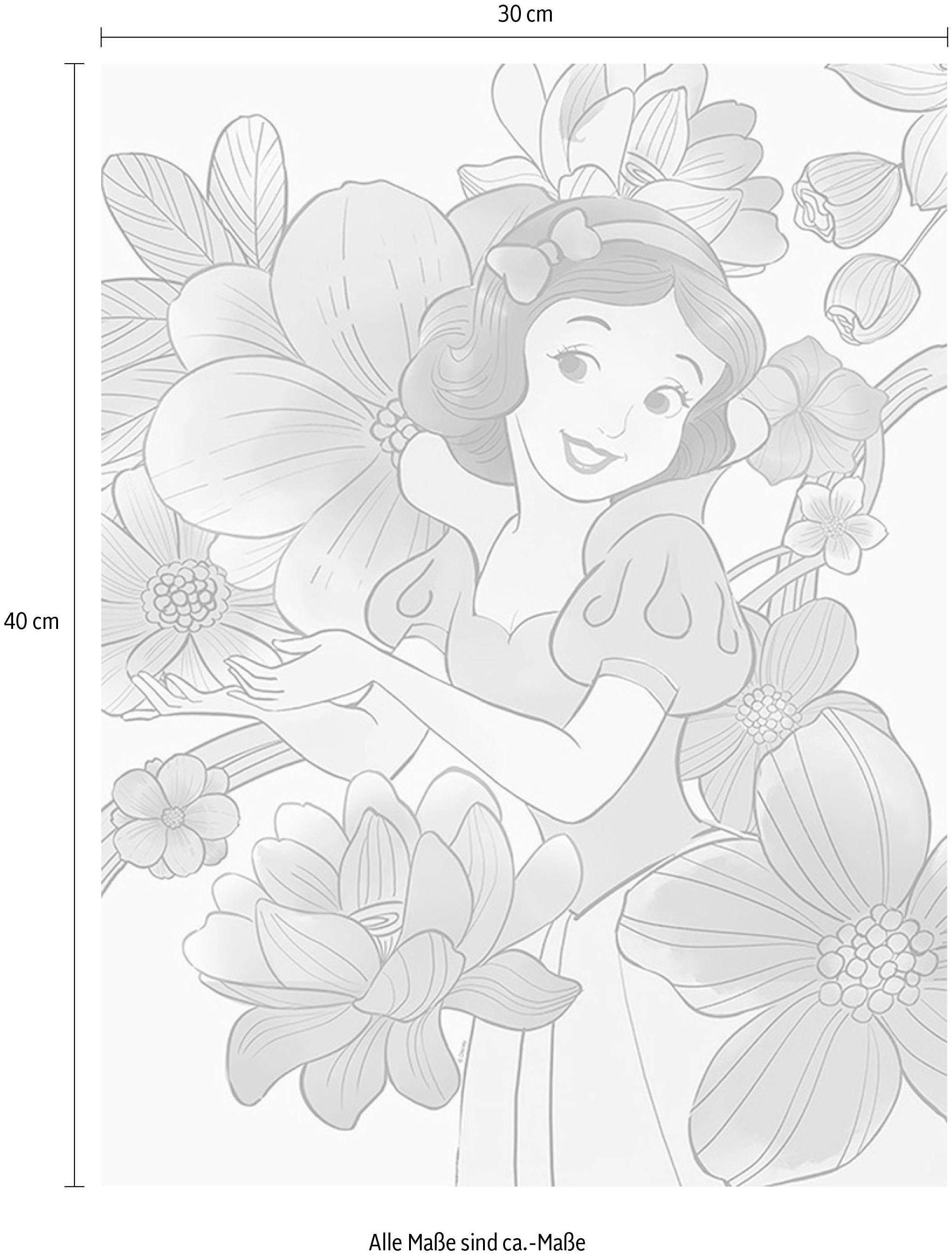 Höhe: »Snow White Flowers«, 50cm Disney, bestellen BAUR | Komar Poster