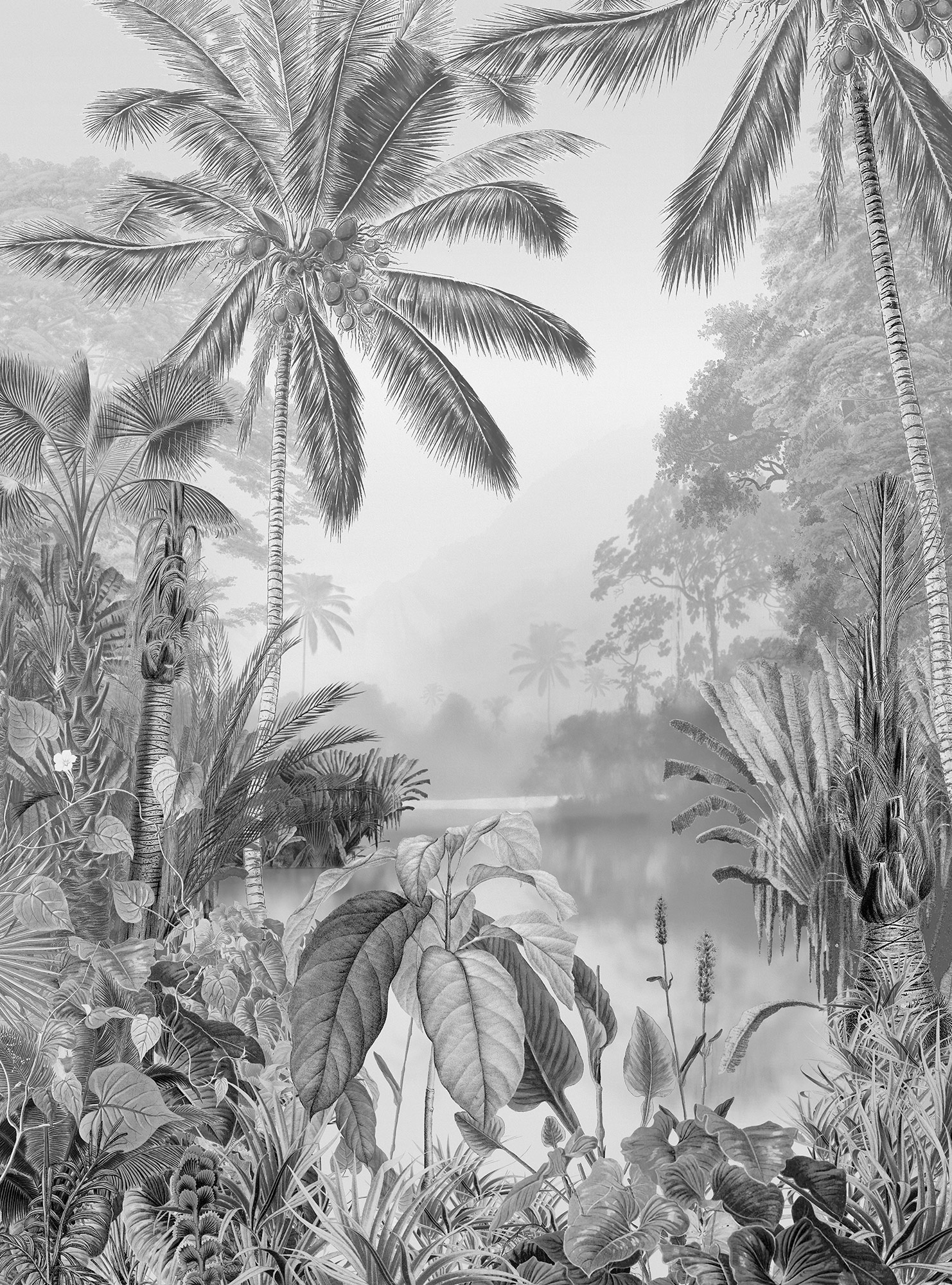 Komar Vliestapete "Lac Tropical Black & White", 200x270 cm (Breite x Höhe), Vliestapete, 100 cm Bahnbreite