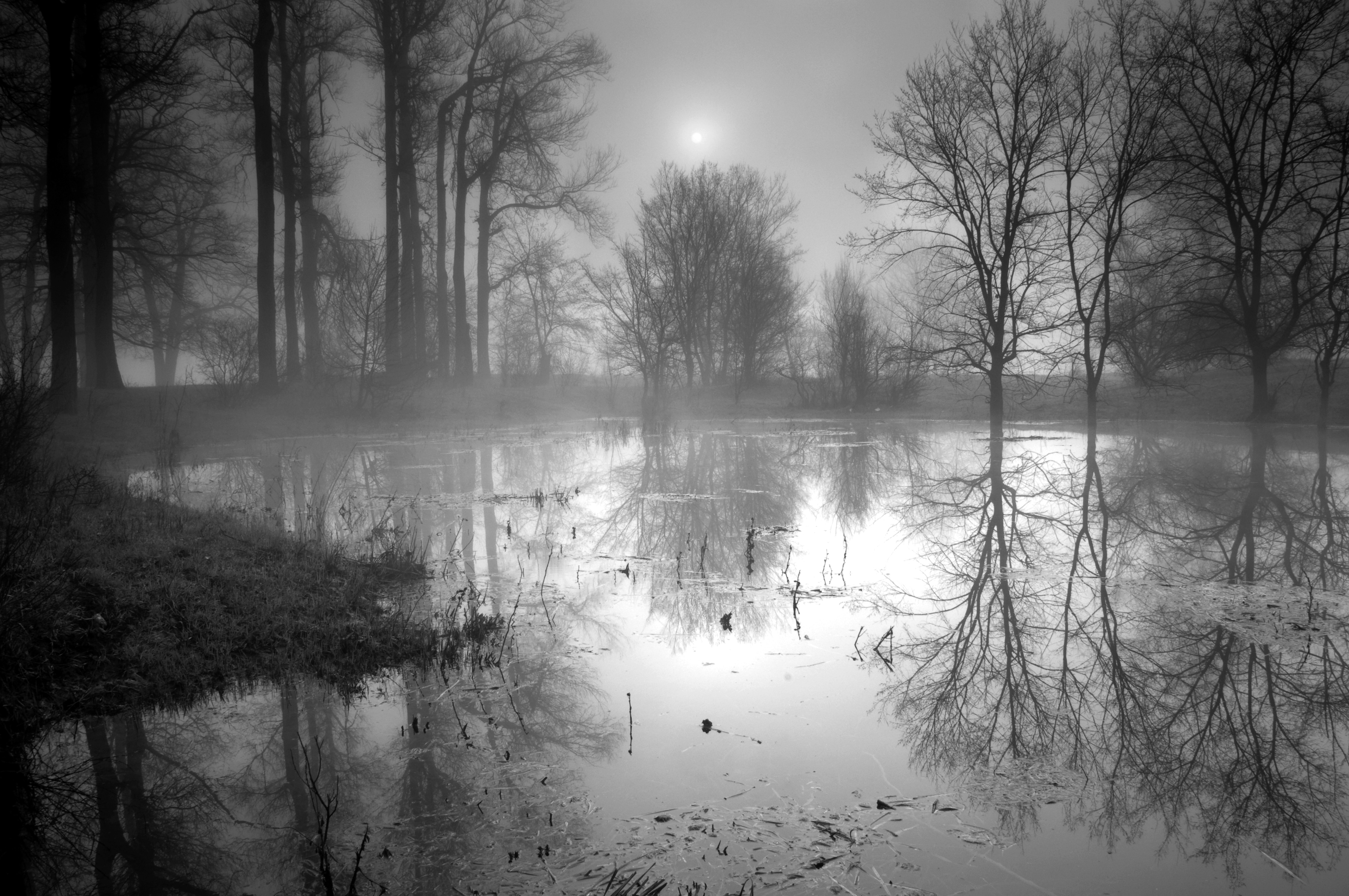 Papermoon Fototapete "See im Wald Schwarz & Weiß"
