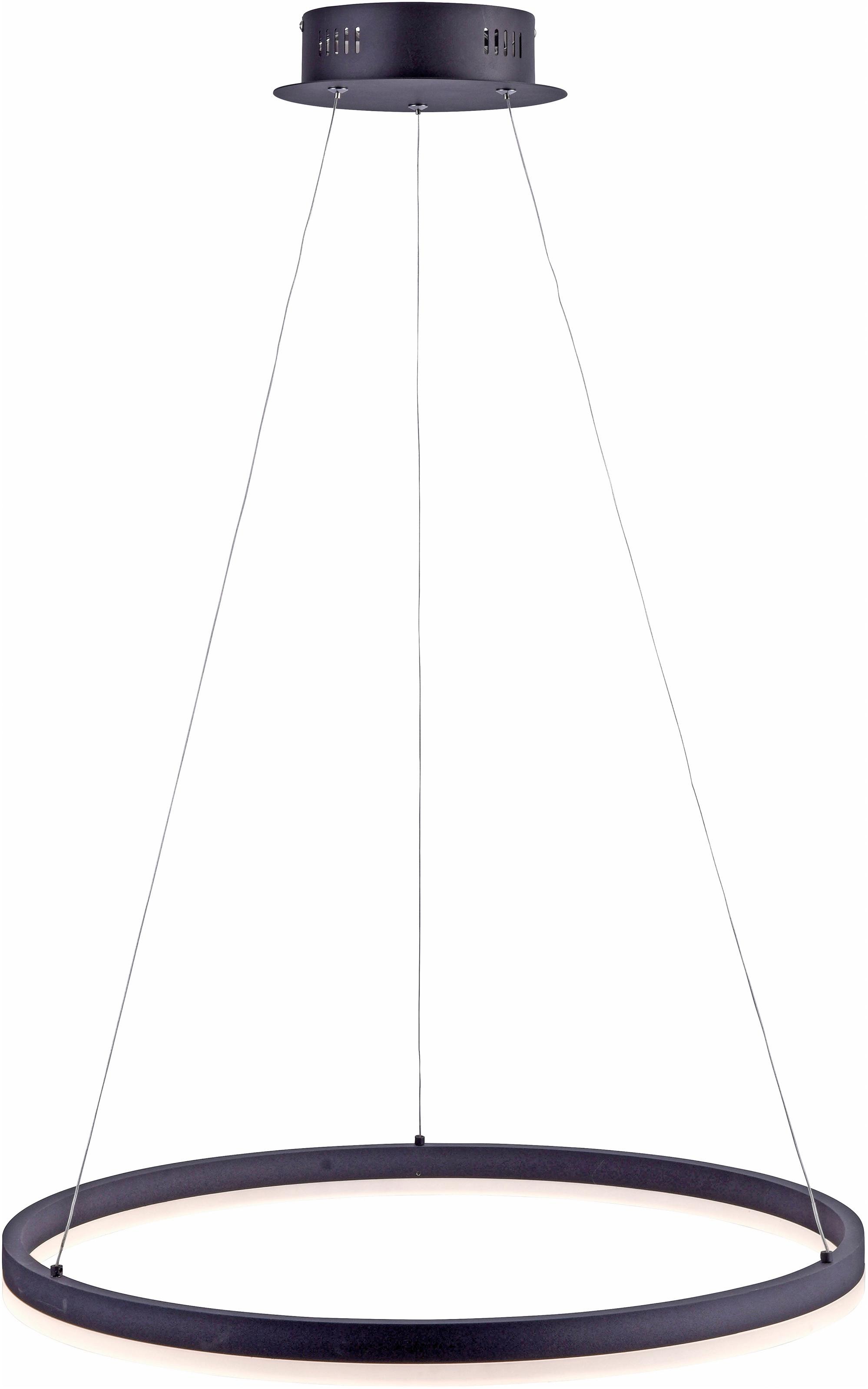 Paul Neuhaus Pendelleuchte »TITUS«, 1 flammig, Leuchtmittel LED-Board | LED fest integriert, stufenlos dimmbar, fest integrierte LED, Memoryfunktion, Ø 60 cm
