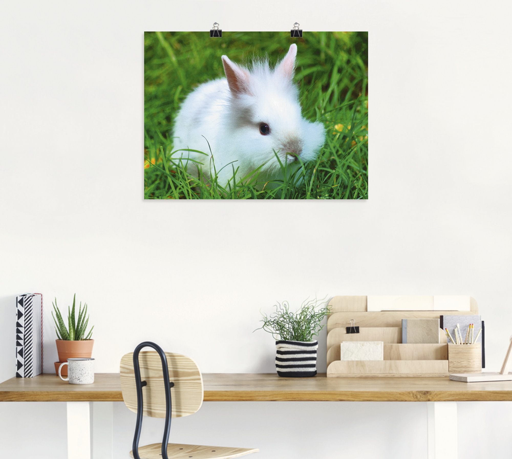 Artland Wandbild »Weißes Zwergkaninchen Baby«, Wildtiere, (1 St.), als Poster, Wandaufkleber in verschied. Größen