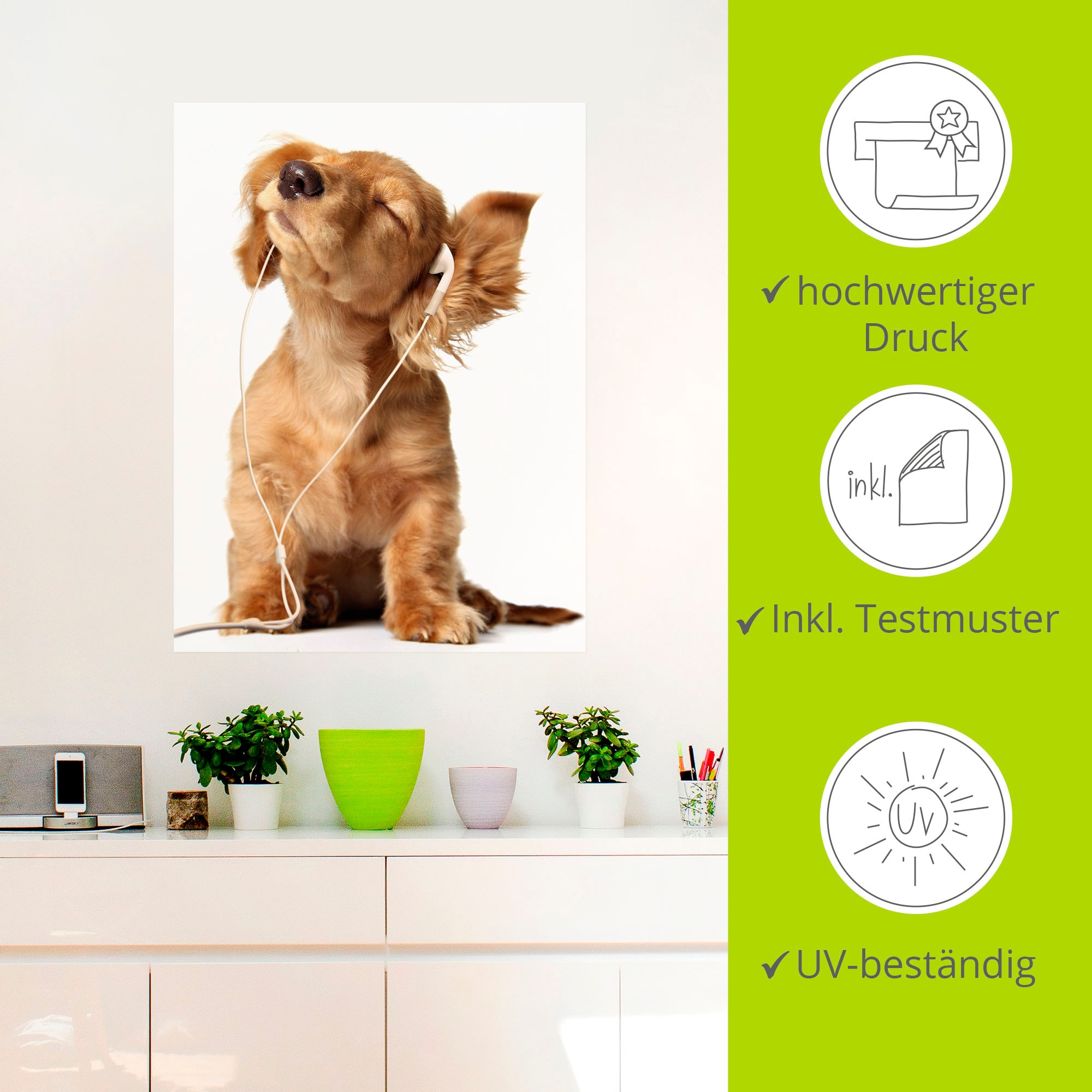 Artland Wandbild »Junger Hund hört Musik über Kopfhörer«, Haustiere, (1 St.), als Leinwandbild, Poster, Wandaufkleber in verschied. Größen