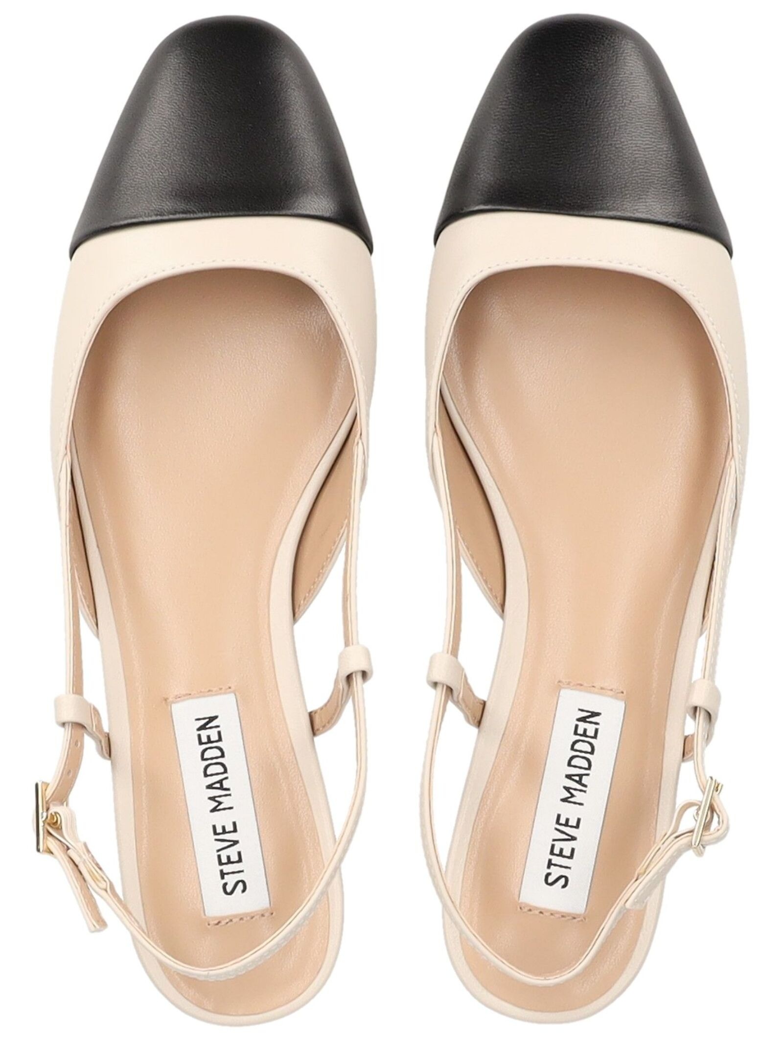 STEVE MADDEN Ballerina »STEVE MADDEN Ballerinas Leder«