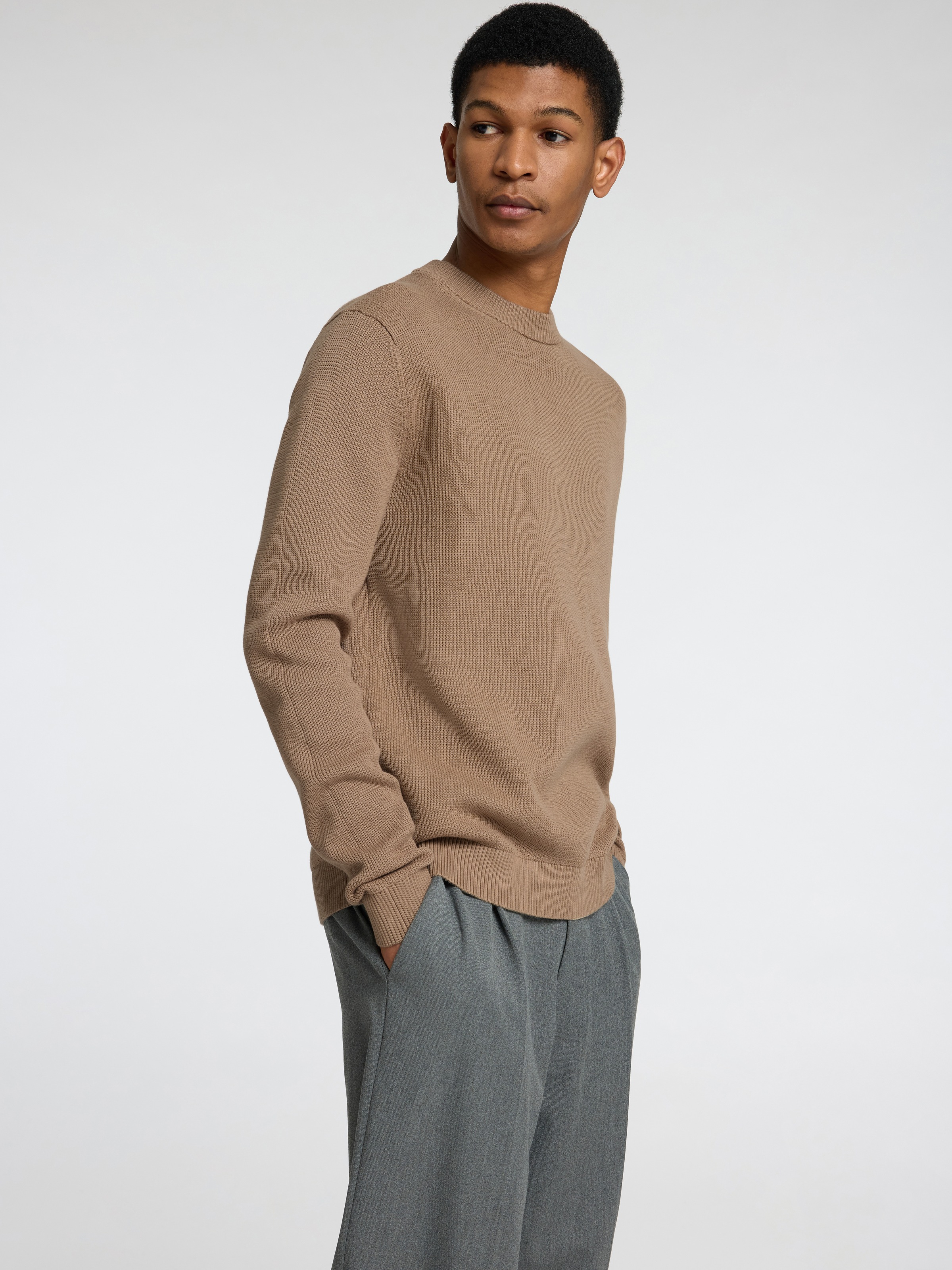 SELECTED HOMME Rundhalspullover "SLHDANE LS KNIT STRUCTURE CREW NECK NOOS" günstig online kaufen