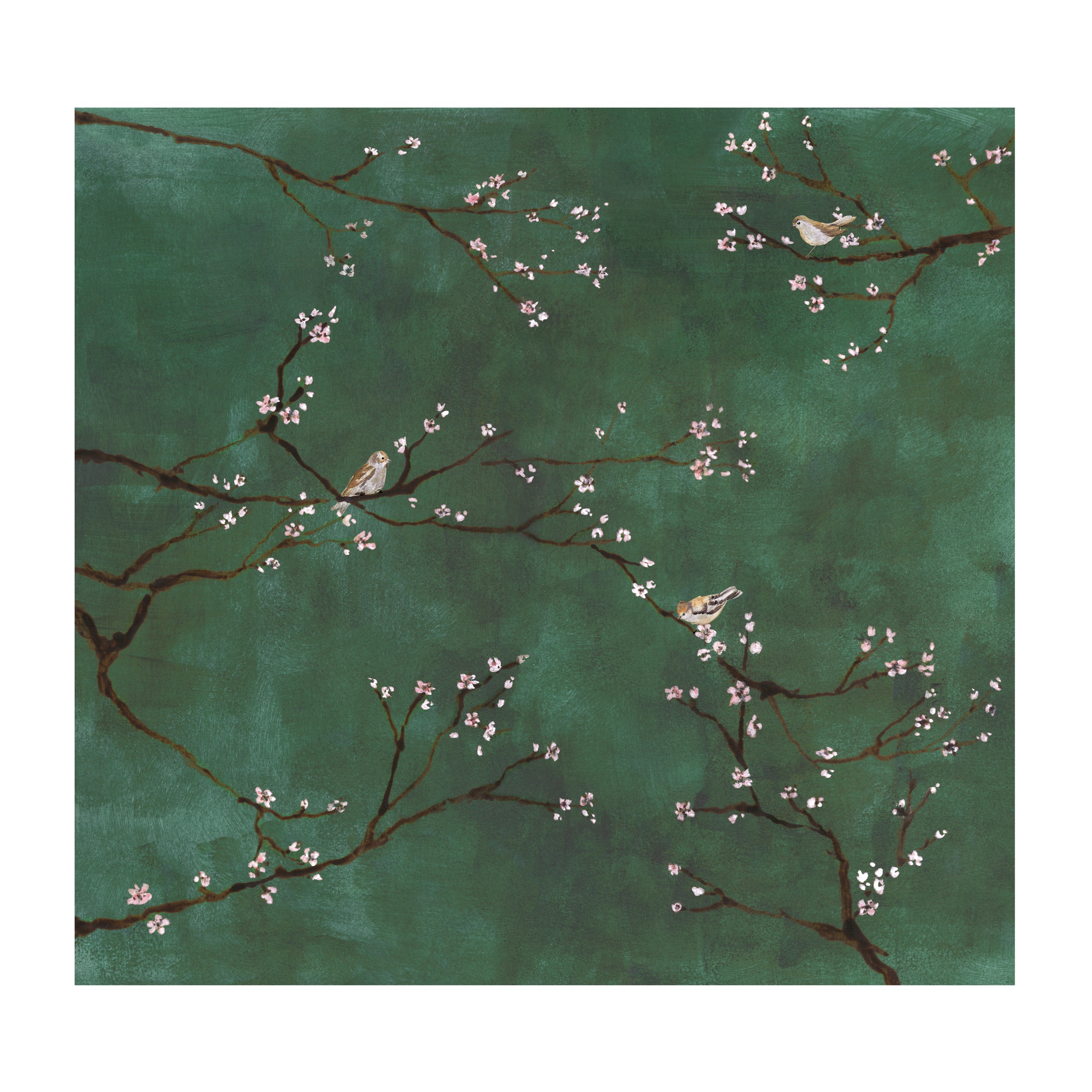 "Fototapete SUPERFRESCO EASY ""Joy"", grün, B:3m L:2,8m, Vlies, Tapeten, Grün - 300x280cm"