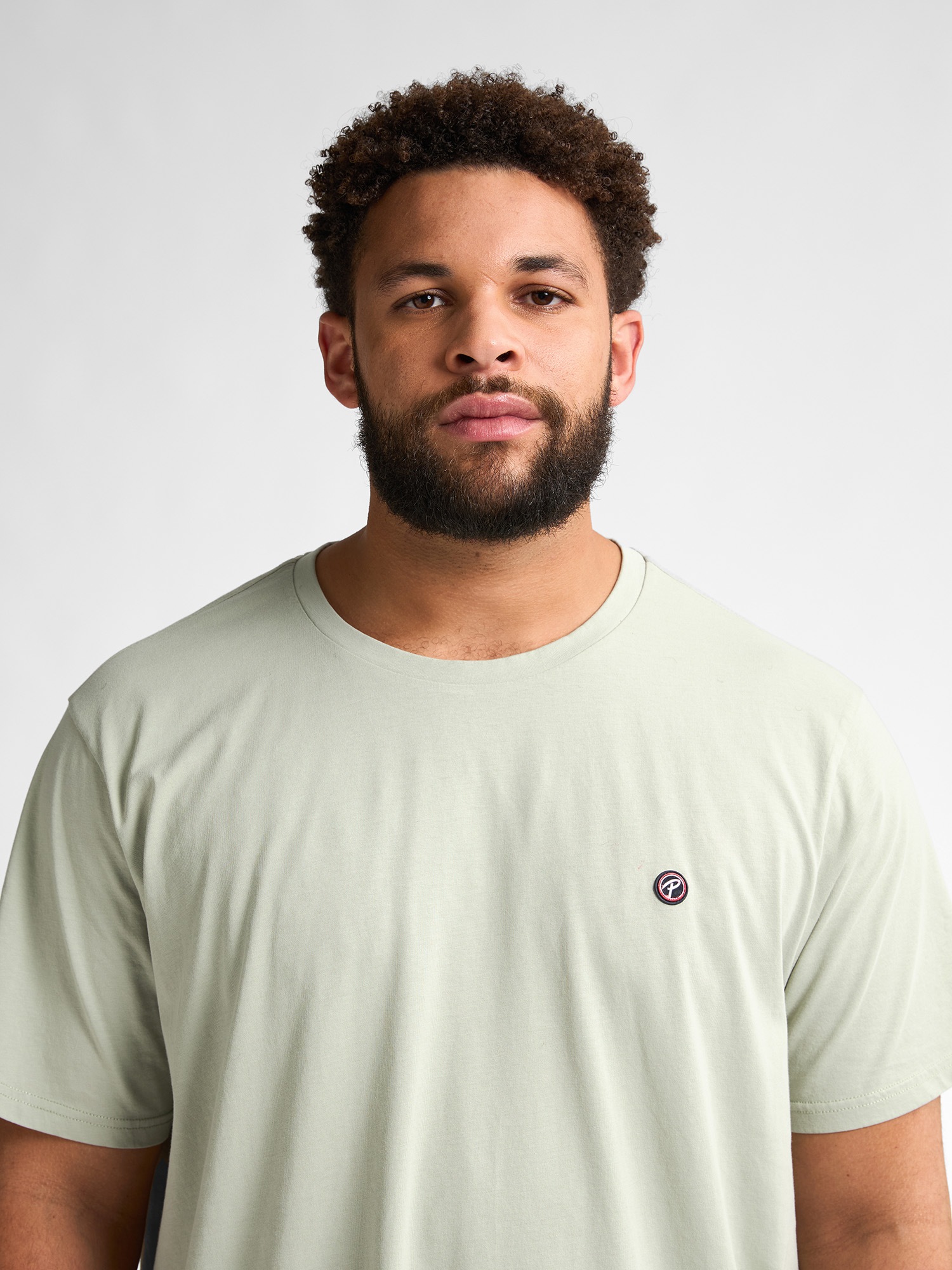 Petrol Industries Rundhalsshirt, mit Logo Stickerei