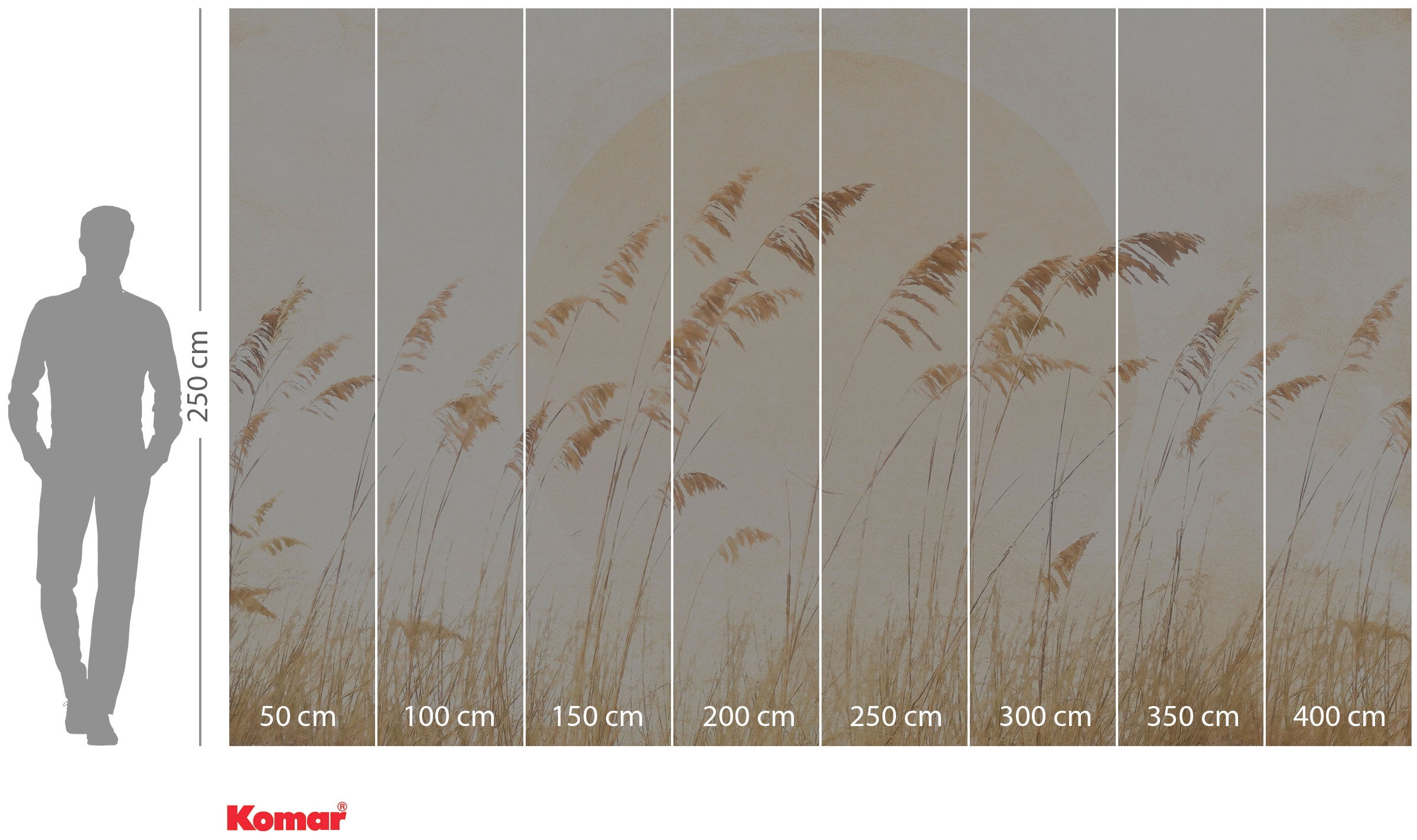 Komar Vliestapete »Dune Grass«, 400x250 cm (Breite x Höhe)
