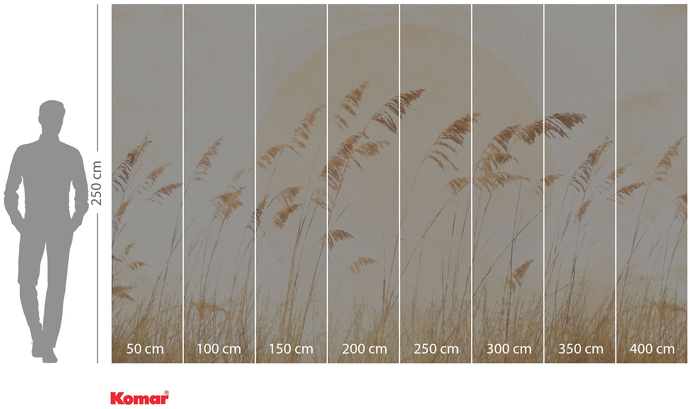 Komar Vliestapete »Digitaldruck Vlies - Dune Grass - Größe 400 x 250 cm«, bedruckt, Wohnzimmer, Schlafzimmer