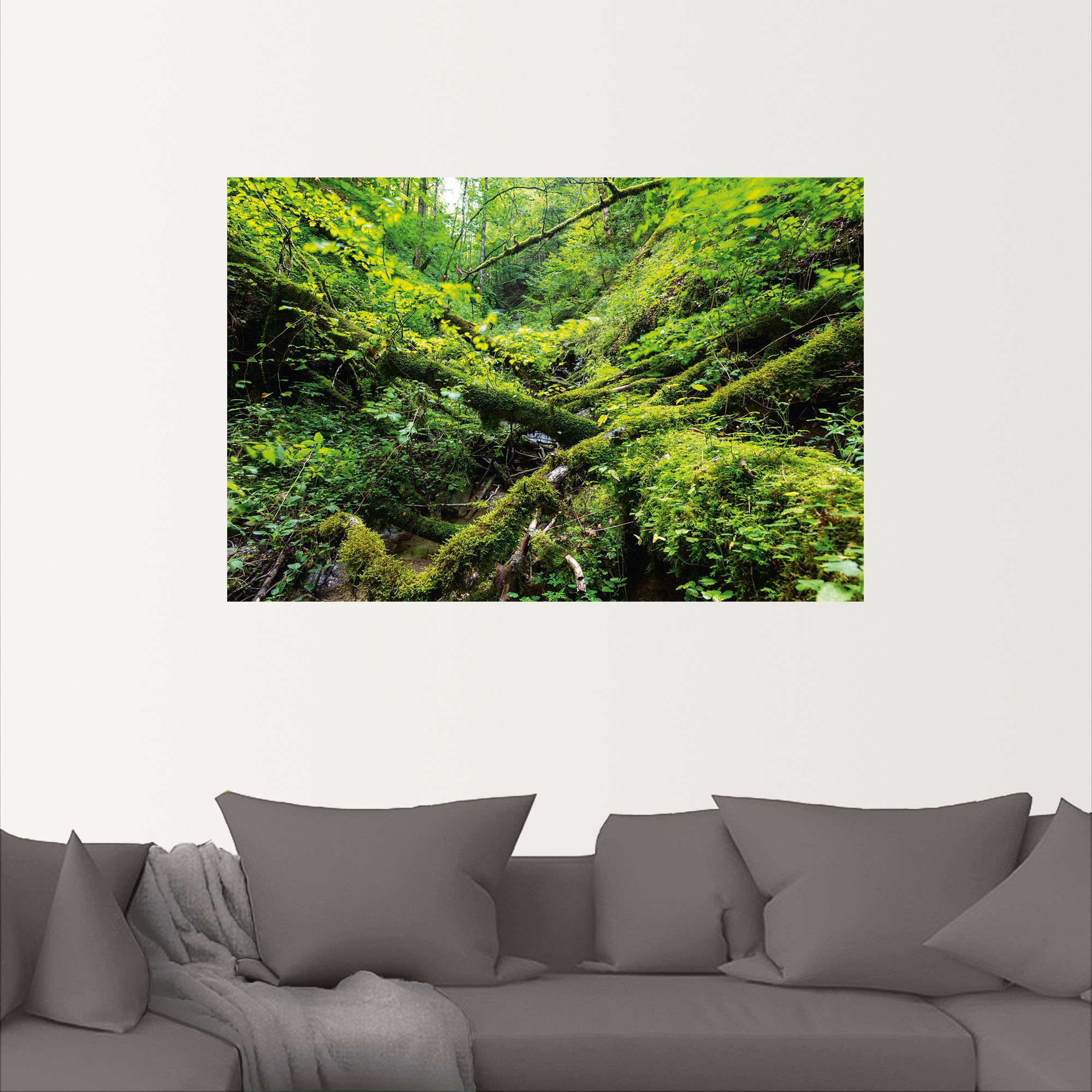 Artland Wandbild »Moosbedecktes Totholz Schwarzwald«, Waldbilder, (1 St.), als Alubild, Leinwandbild, Wandaufkleber oder Poster in versch. Größen