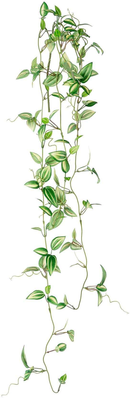 Creativ green Kunstranke »Tradescantia-Hänger«