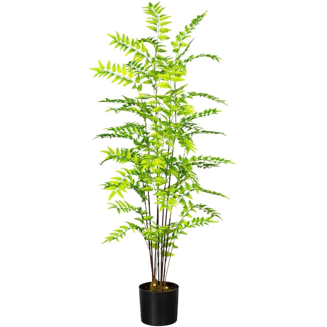 Creativ green Künstliche Zimmerpflanze »Goldschuppenfarn« kaufen | BAUR