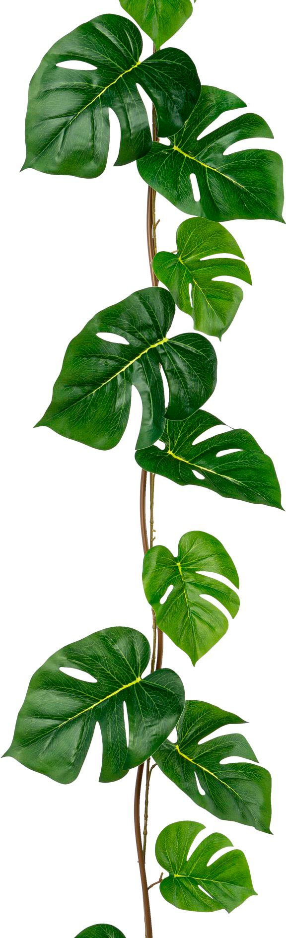 Creativ green Kunstgirlande "Split-Philodendron-Girlande" günstig online kaufen